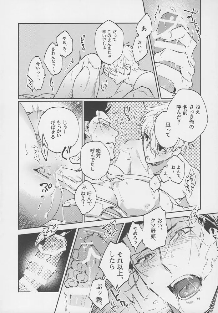 VIVID ADDITIVE MIXTURE Page.65