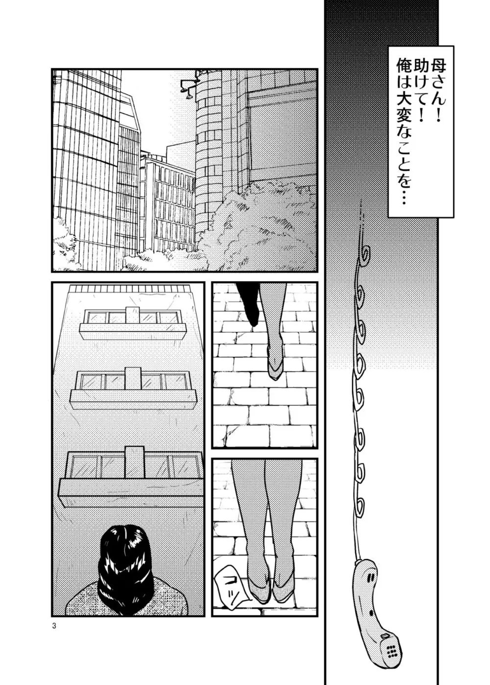 ありもしない息子の罪を償う母 Page.2