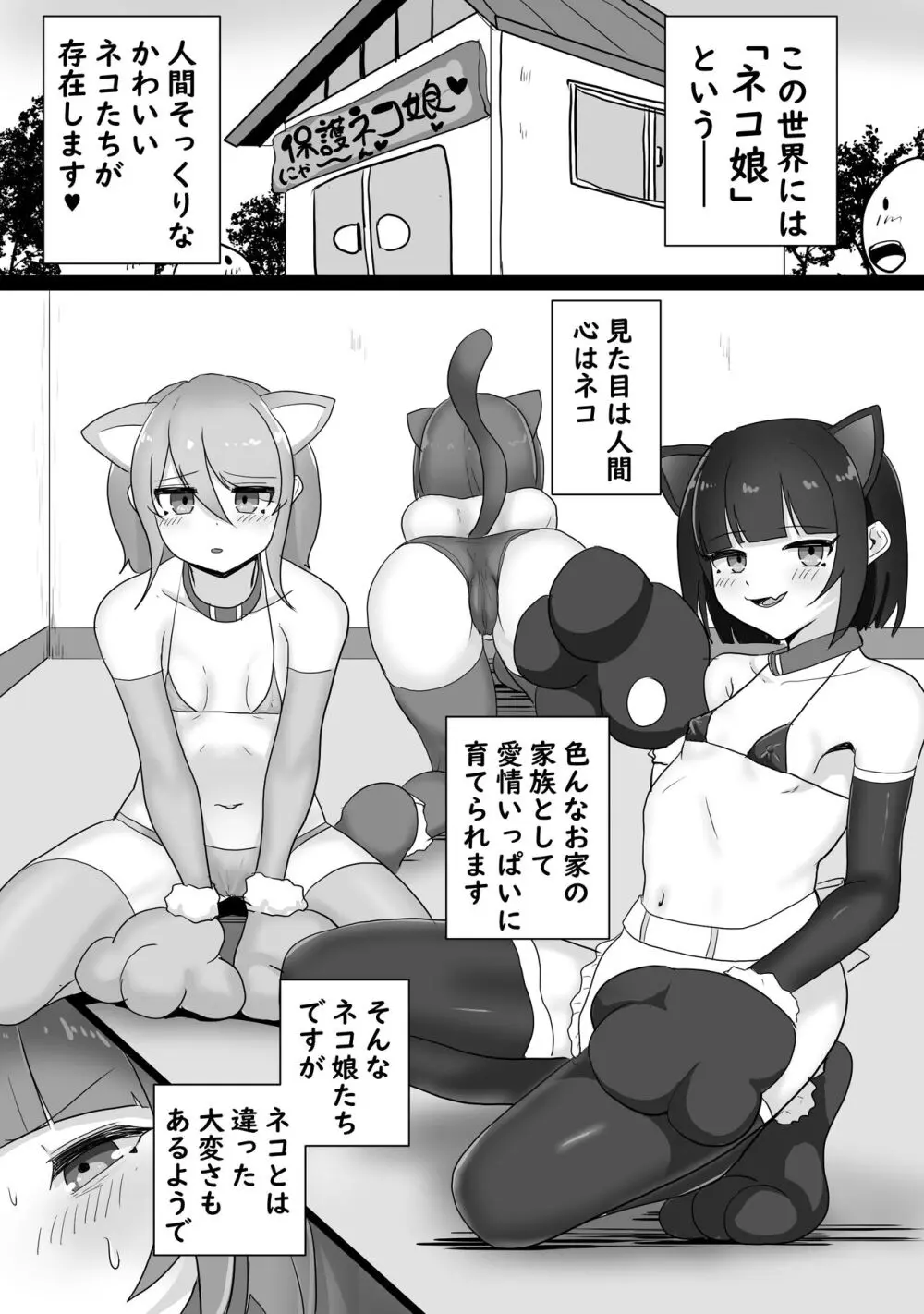 嫌がるネコ娘におまたマッサージをネチネチやり続ける話 Page.2