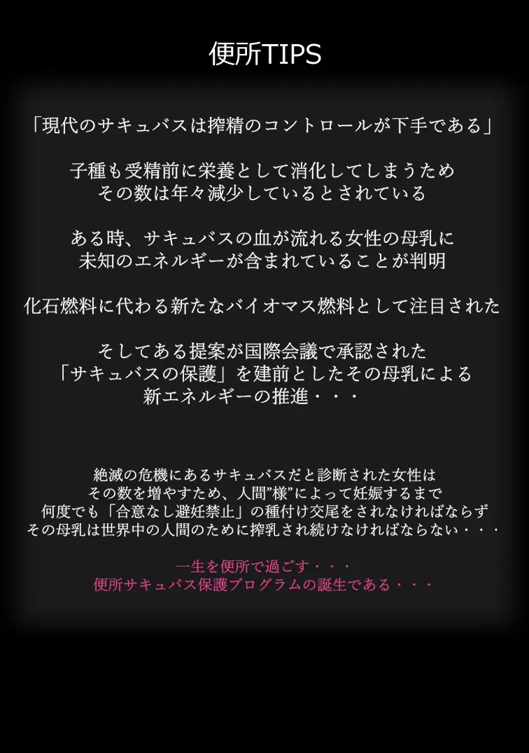 無責任に子種汁をどぷどぷ流し込まれる便所サキュバスに認定された少女達 Page.2