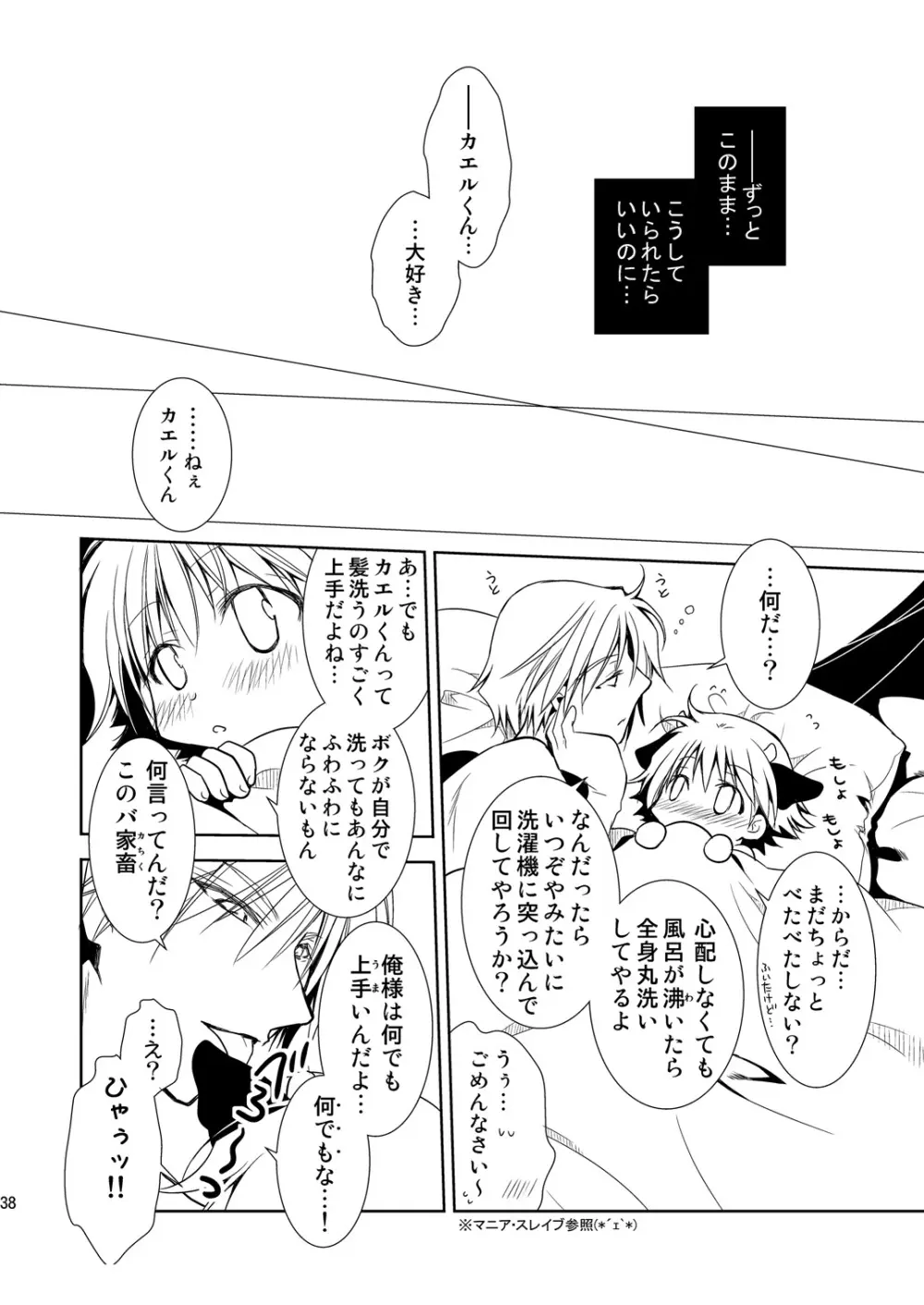 ナイト・スレイブ Page.38