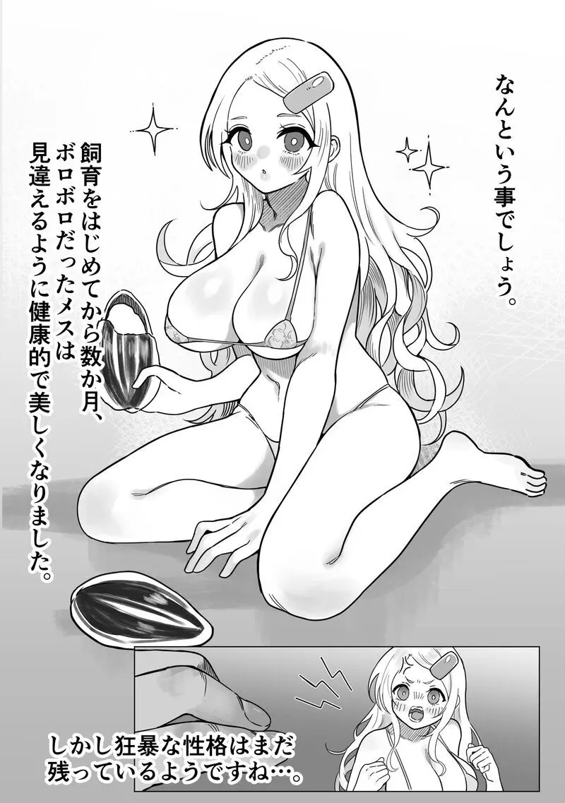 ホームセンターで売れ残っていたボロボロのメスを綺麗にしてあげると... Page.3