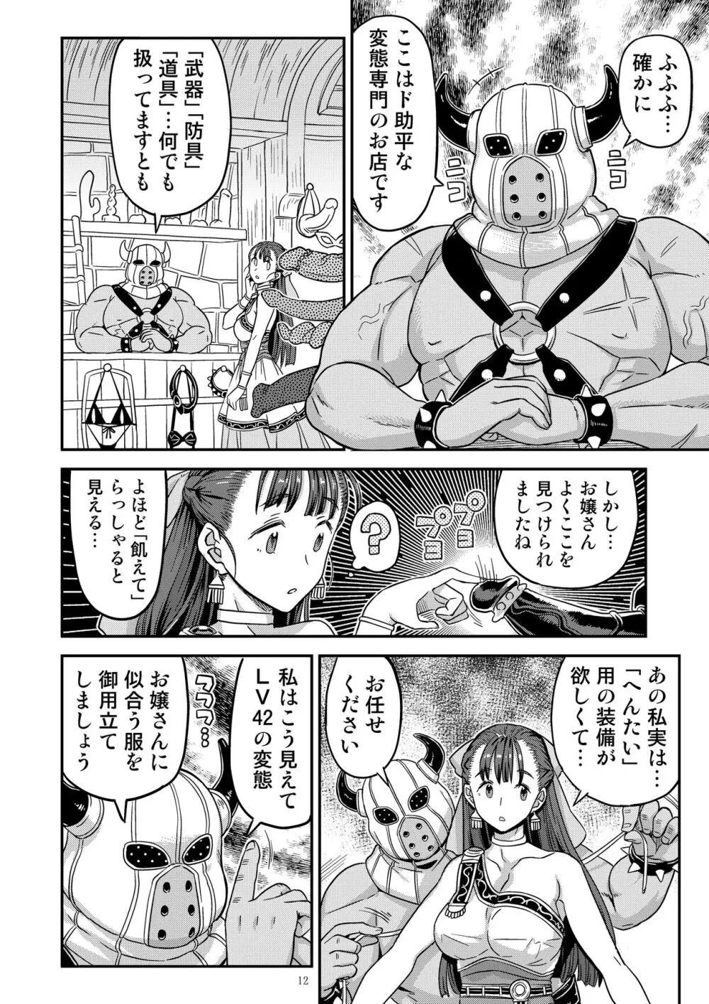 ドラゴンクエストXXX Page.12