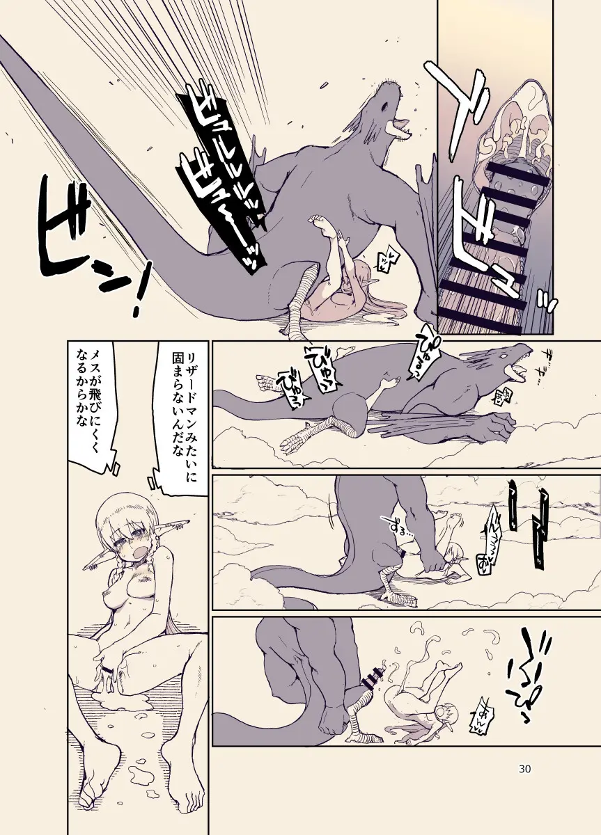 ドスケベエルフの異種姦日記12 Page.29