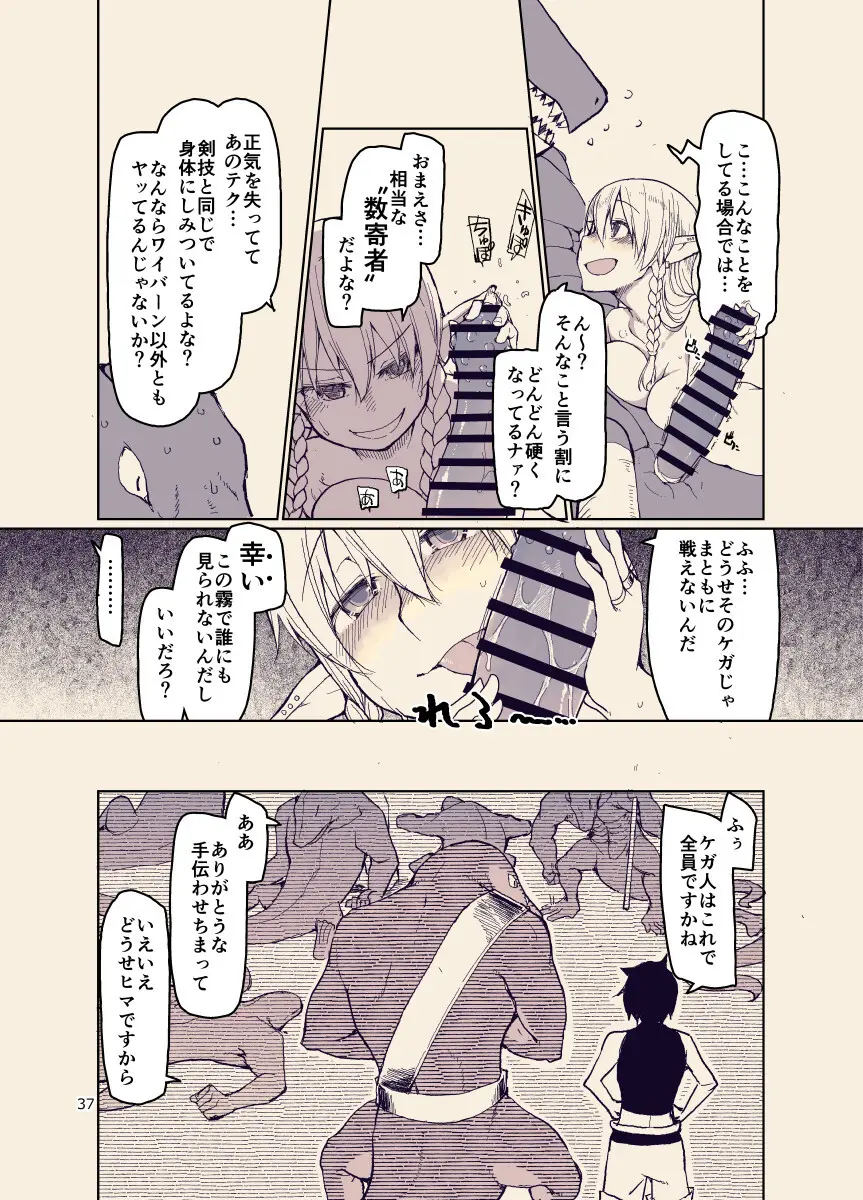 ドスケベエルフの異種姦日記12 Page.36