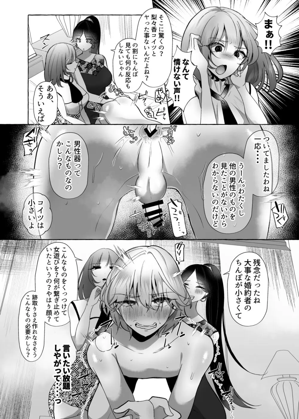 はるか100%♀ 御曹司強制女装メス豚化 Page.13