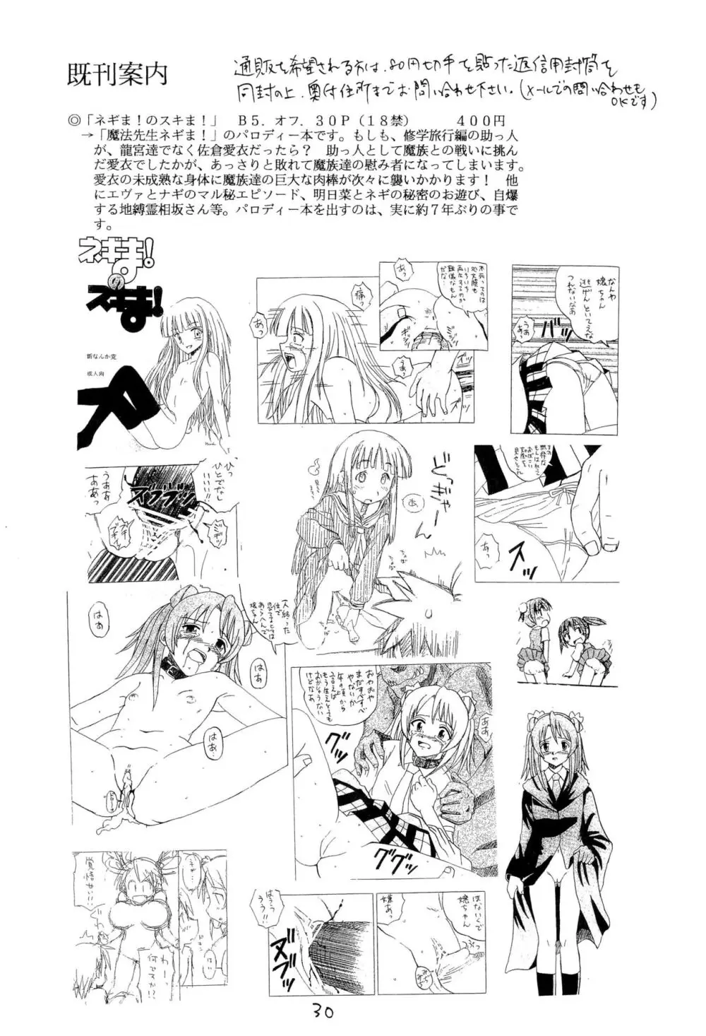 ネギま!のスキま!2 Page.30