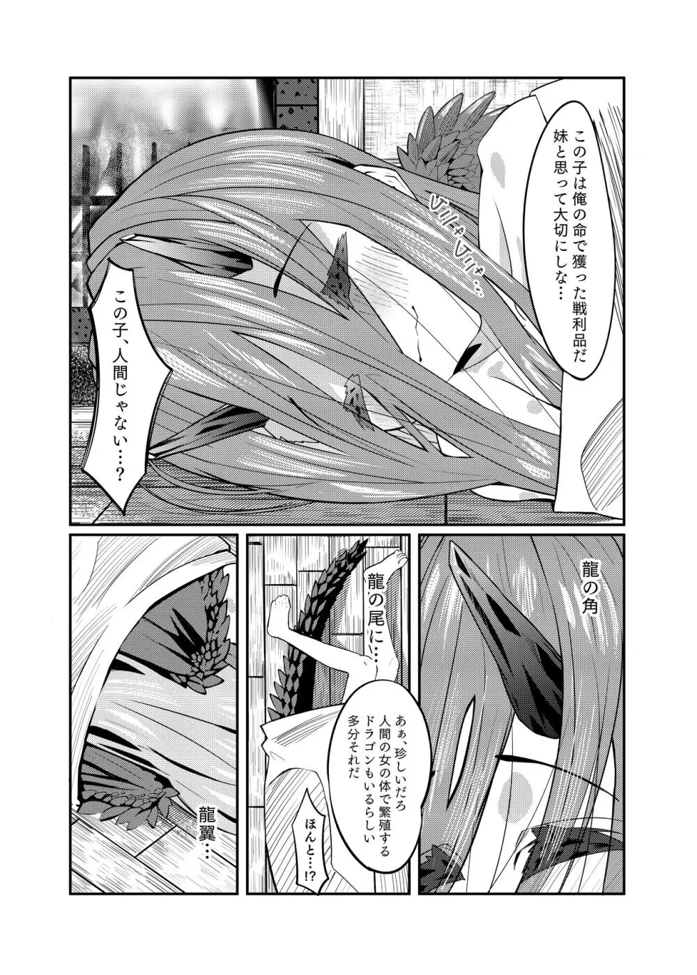 ドラッ娘chanとけもみみショタkun本―運命の?出会い編― Page.12