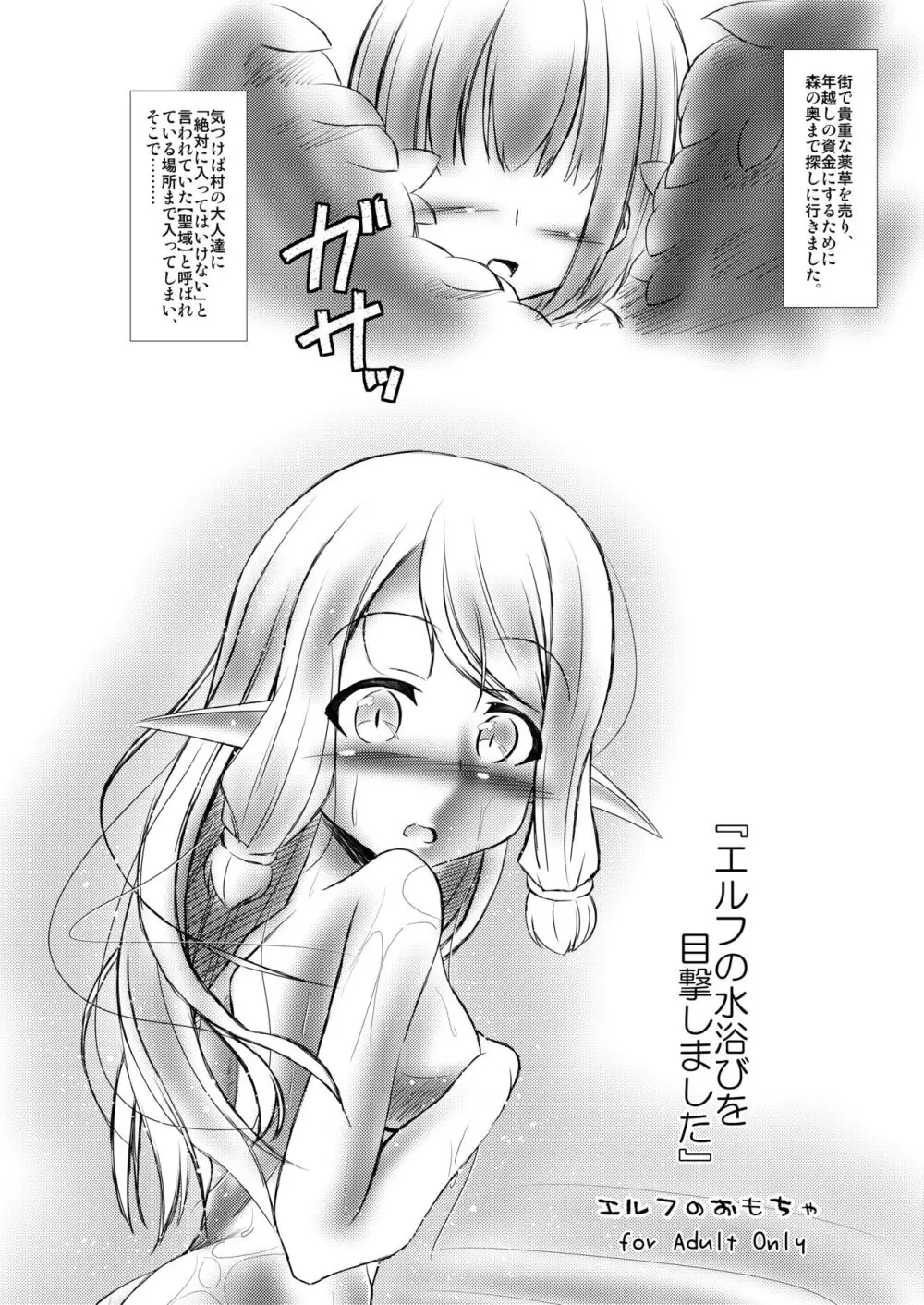 エルフ娘との交流性活 + エルフのおもちゃ Page.29