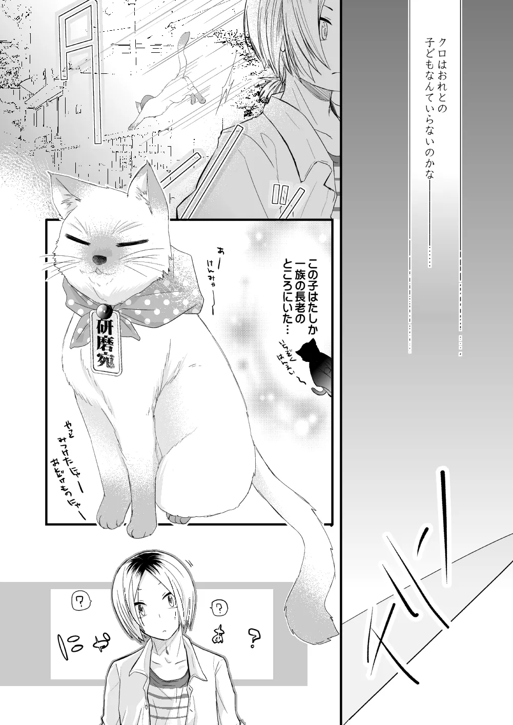 黒猫と三毛猫の新婚生活録 Page.9