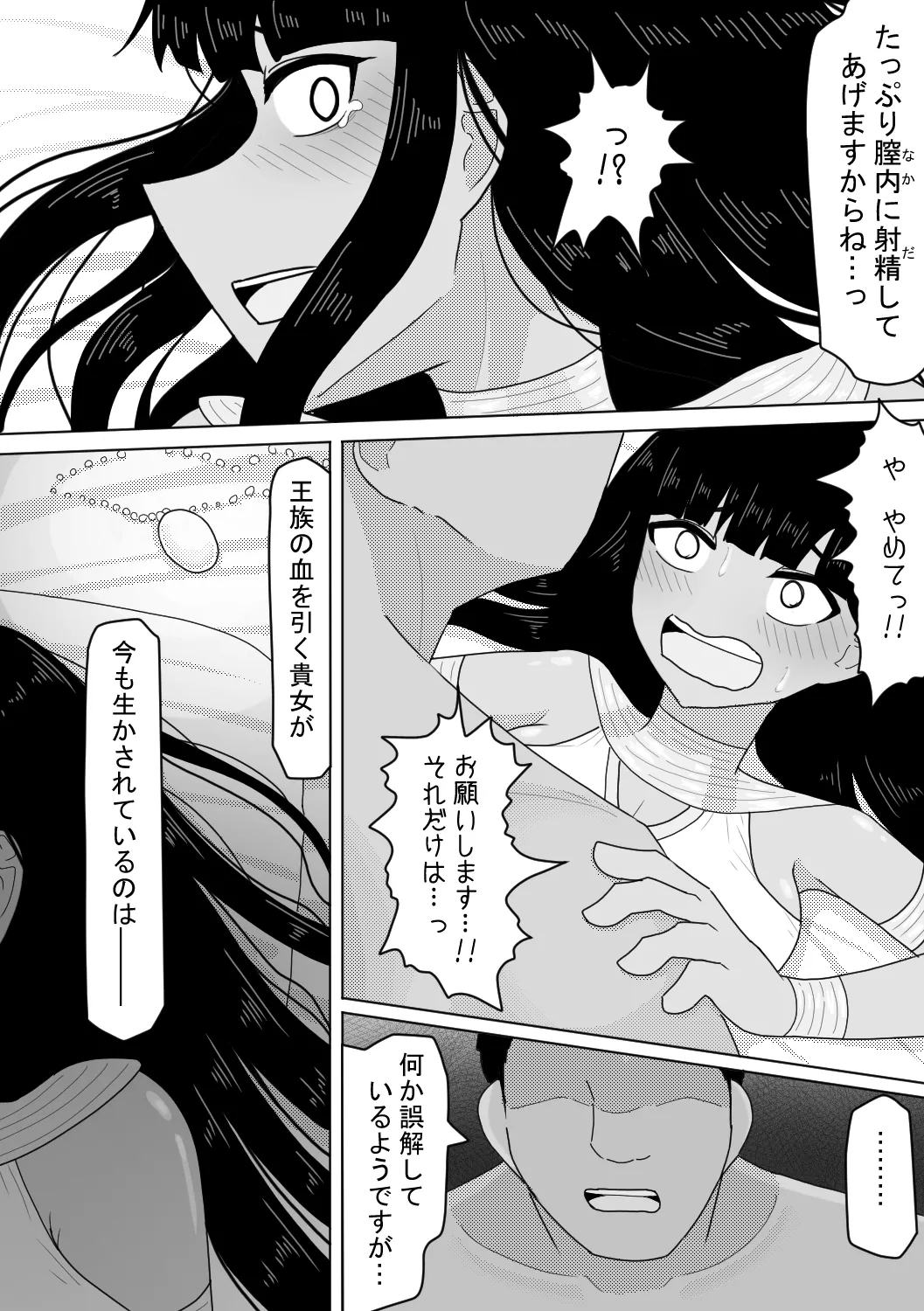 亡国の姫君～罪なる妖美～ Page.14