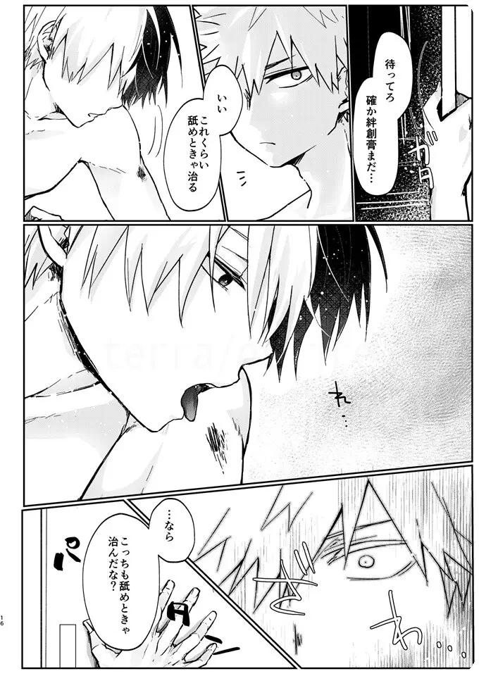 透明バイパス Page.14