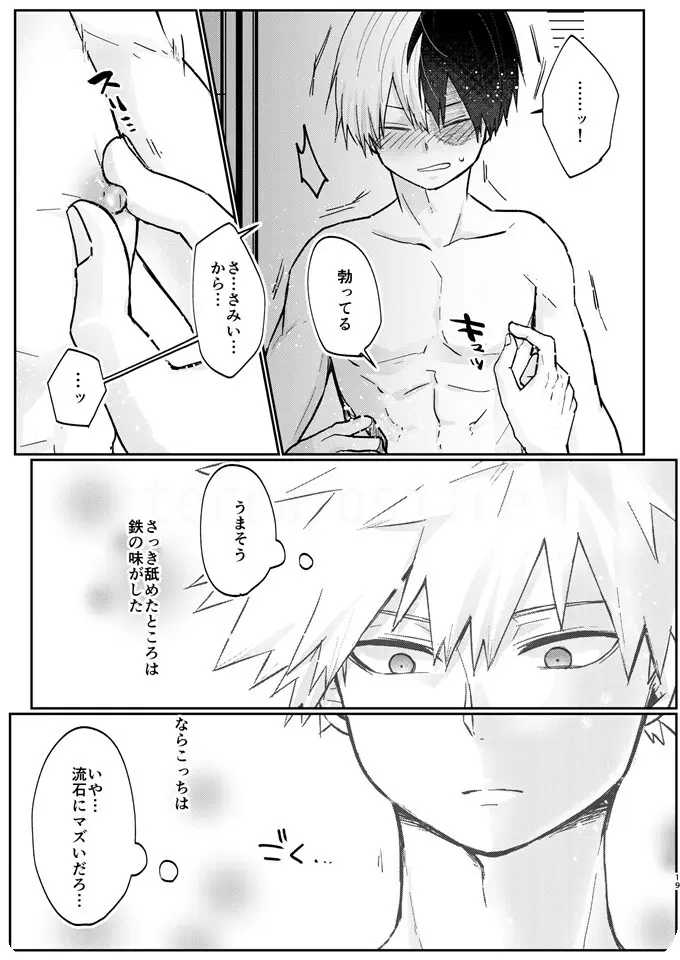 透明バイパス Page.17