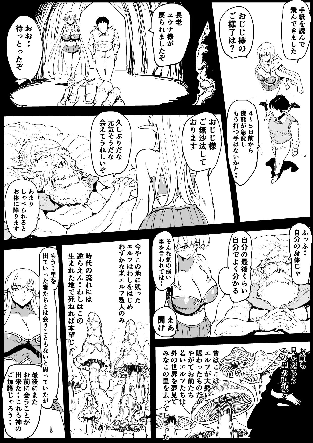 エルフの里 Page.2