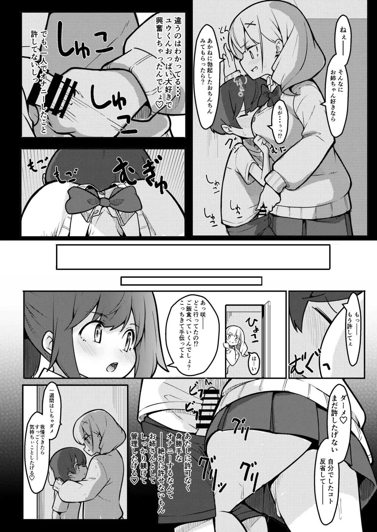 僕がお姉ちゃんの友達とえっちしているコトは誰も知らない。 Page.14