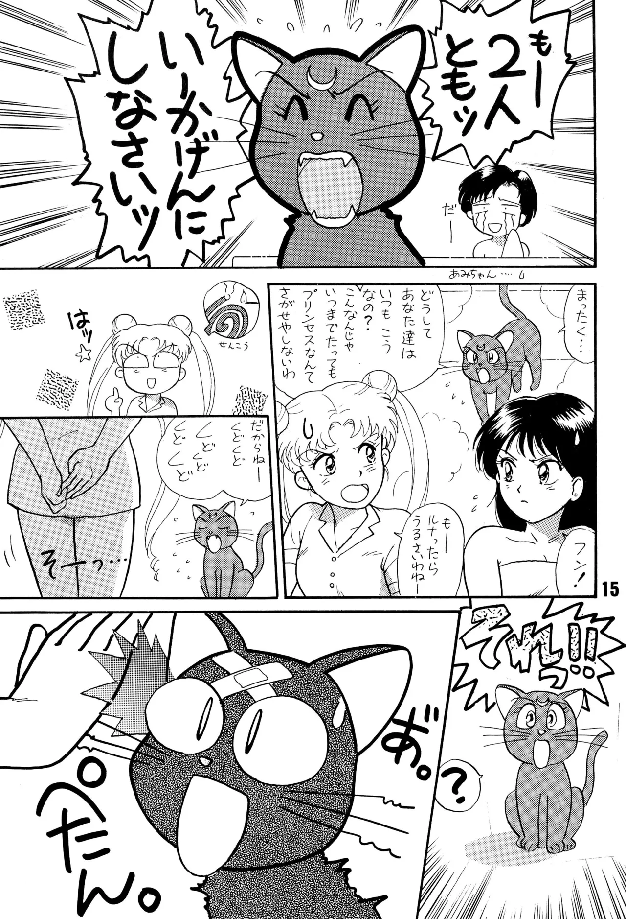 セーラームーン人生 Page.15