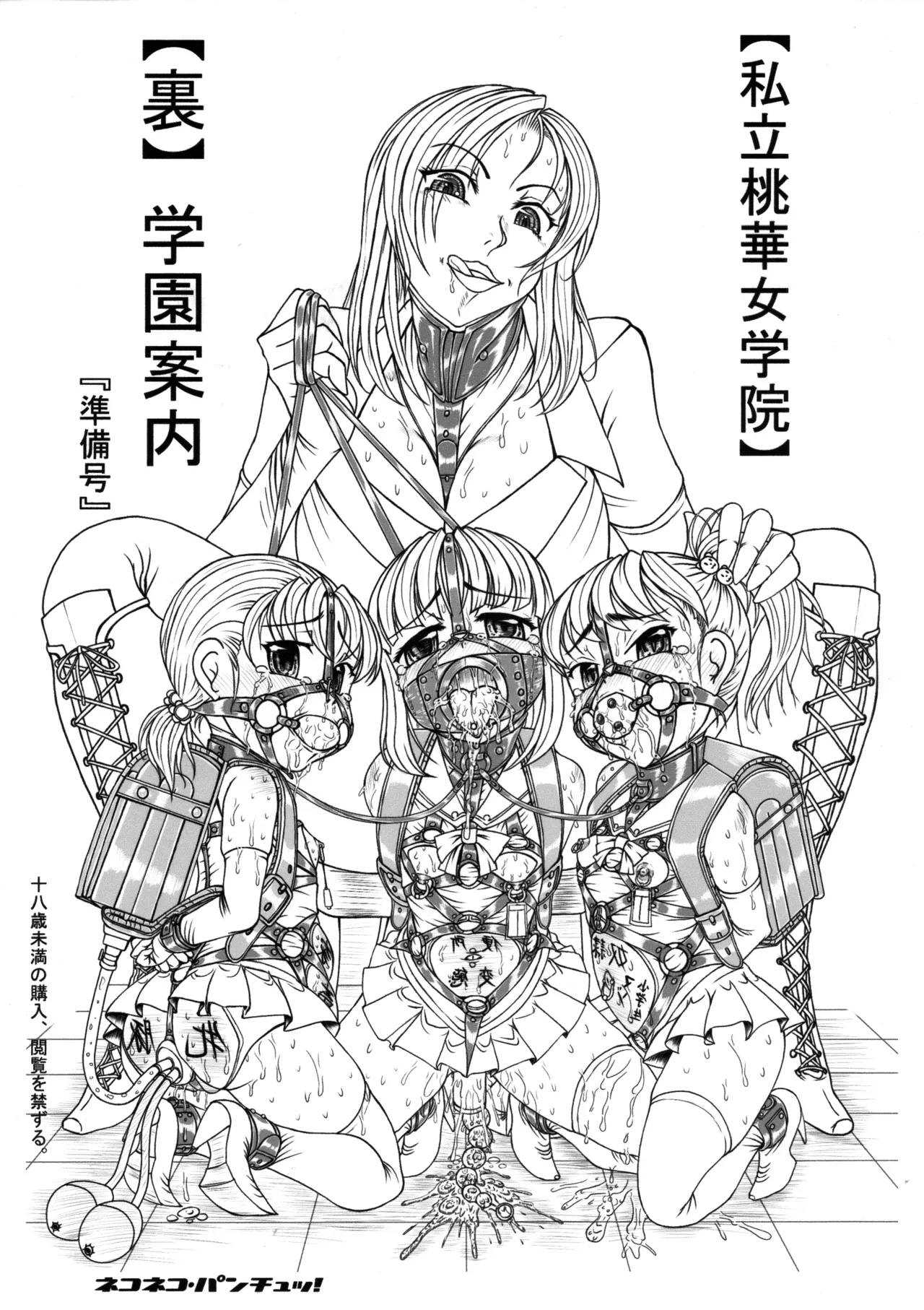 私立桃華女学院 裏 学園案内