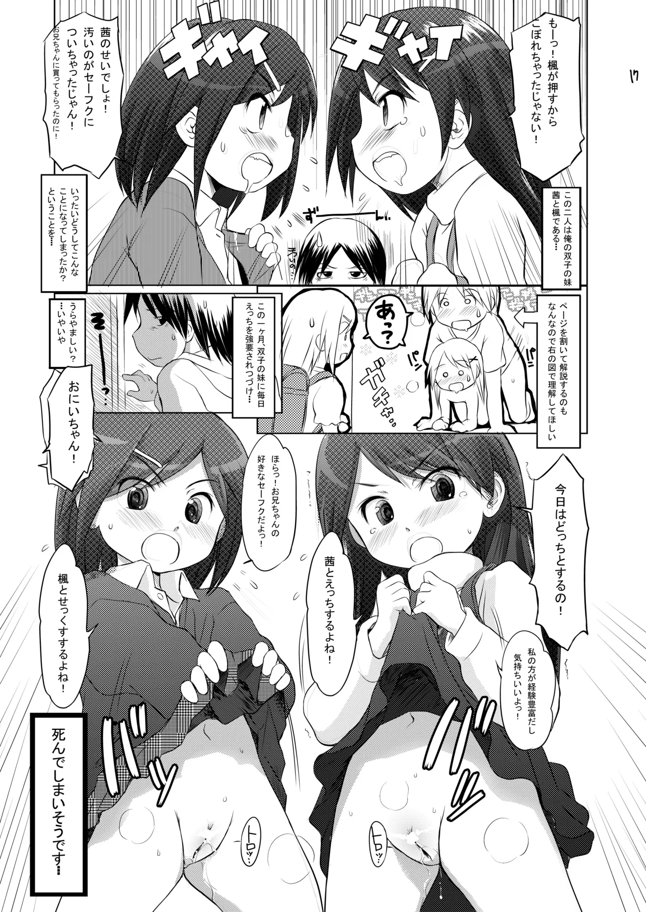 FTTH1/2/ゆあがる・DLぱっく Page.17
