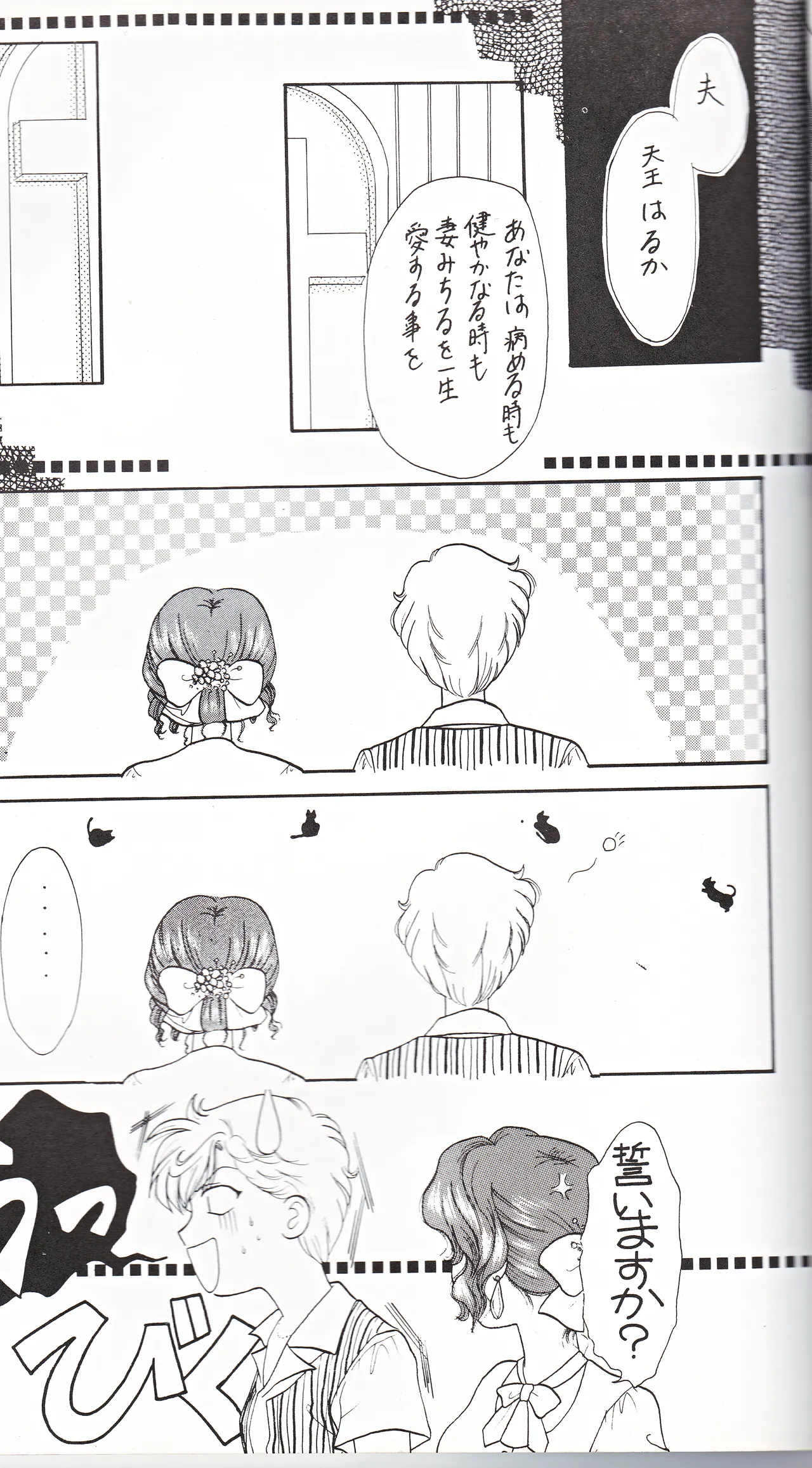 彩 SAI Page.45