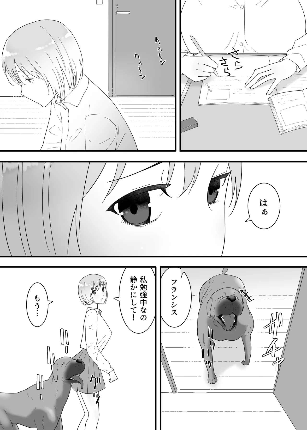 フランシスは女子校生に種付けしたいっ！ Page.13