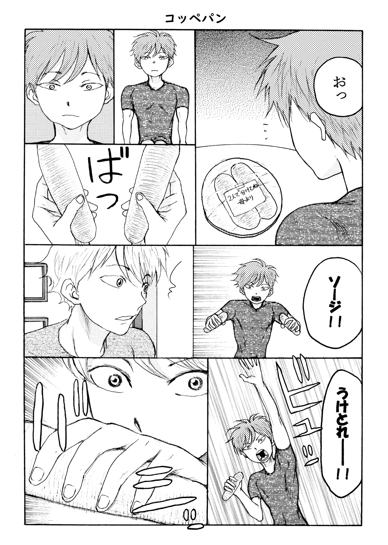ホモ☆双生児 Page.19