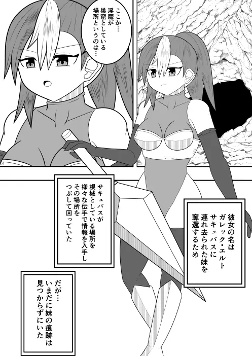 サキュバスにさんざん搾られた最強のサキュバス狩りの戦姫 Page.3