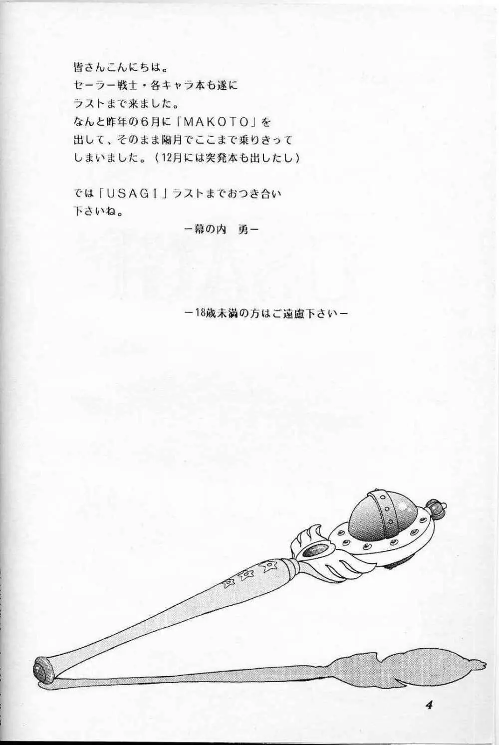 LUNCH BOX 6 USAGI Page.3