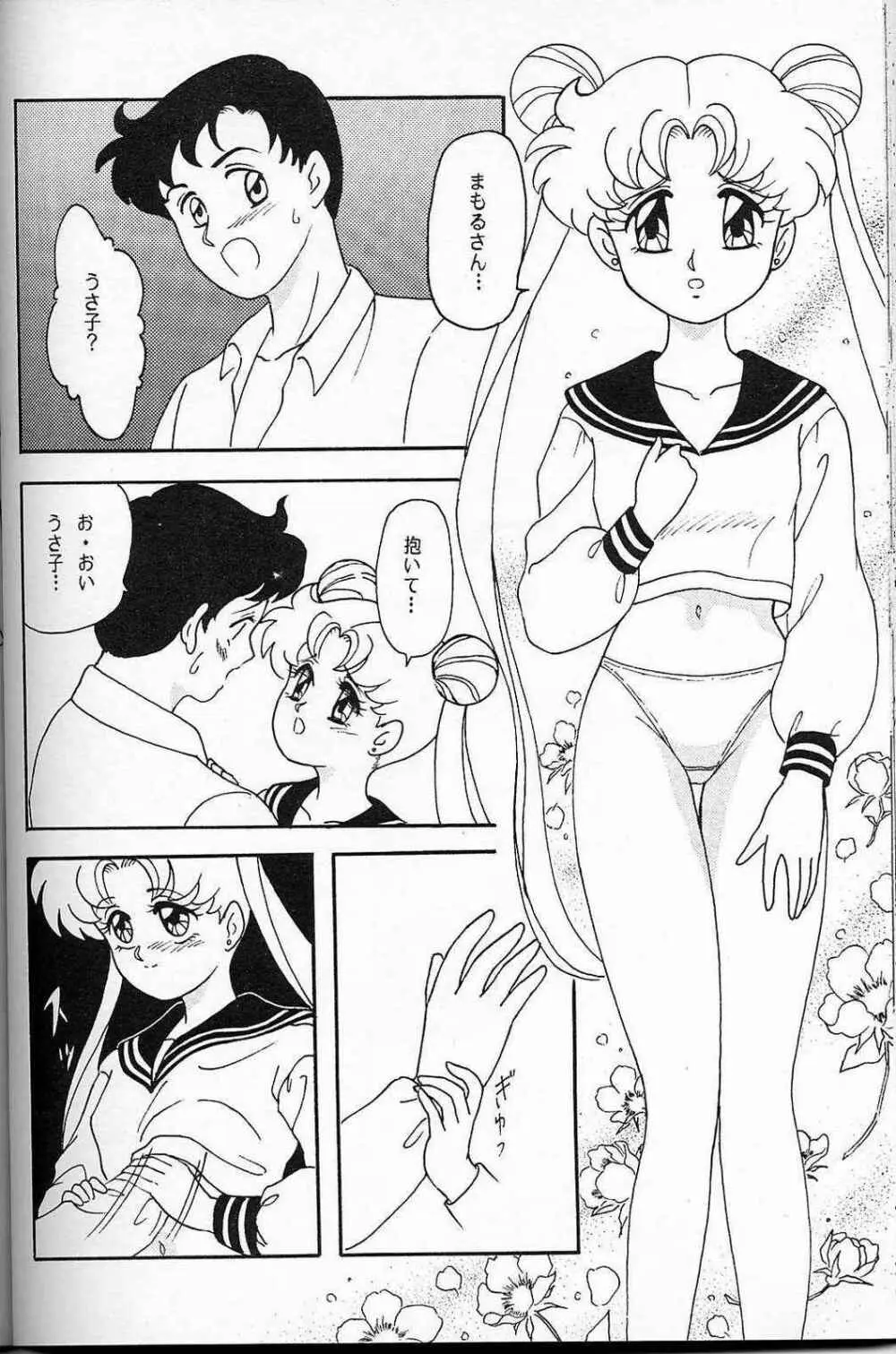 LUNCH BOX 6 USAGI Page.39