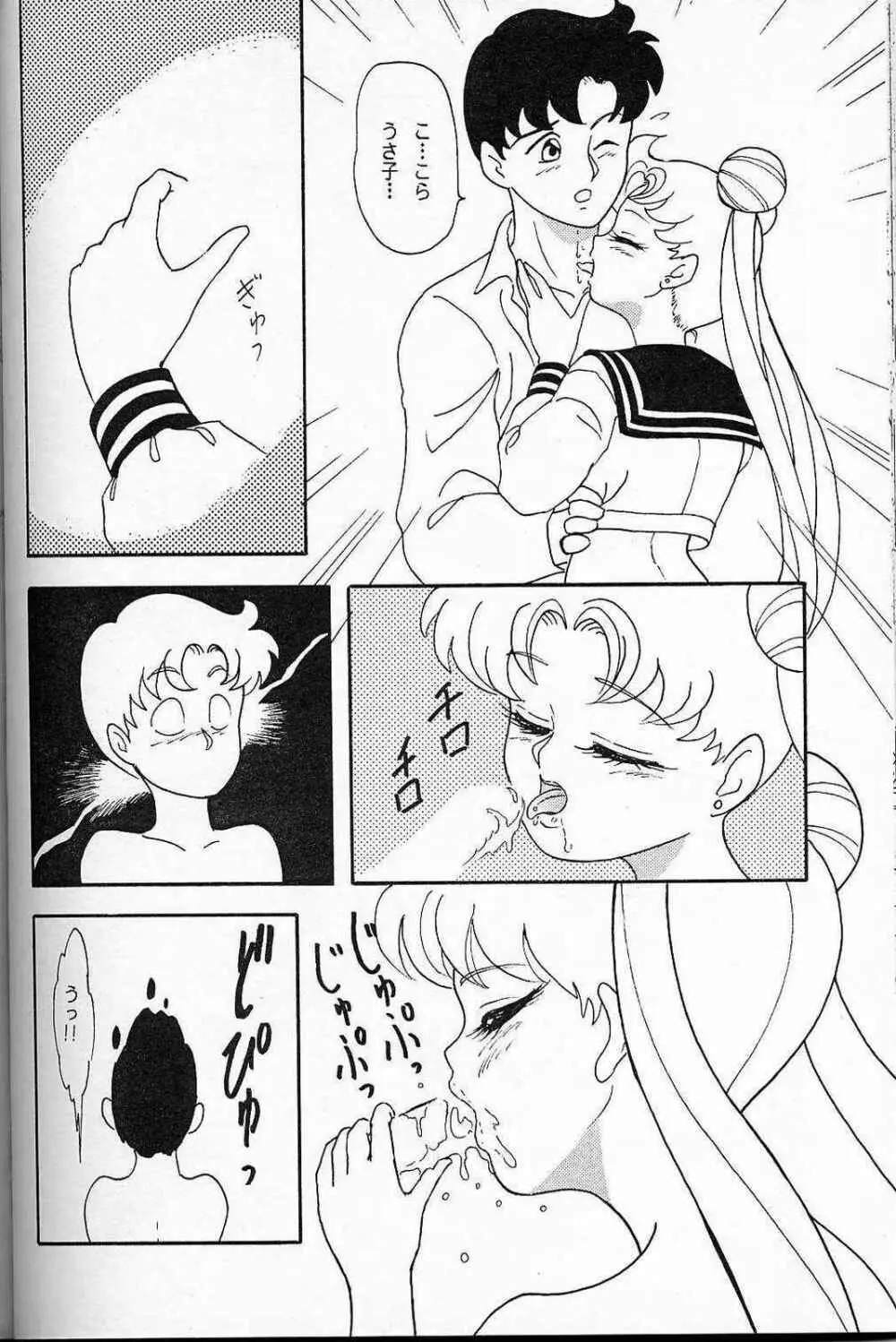 LUNCH BOX 6 USAGI Page.41