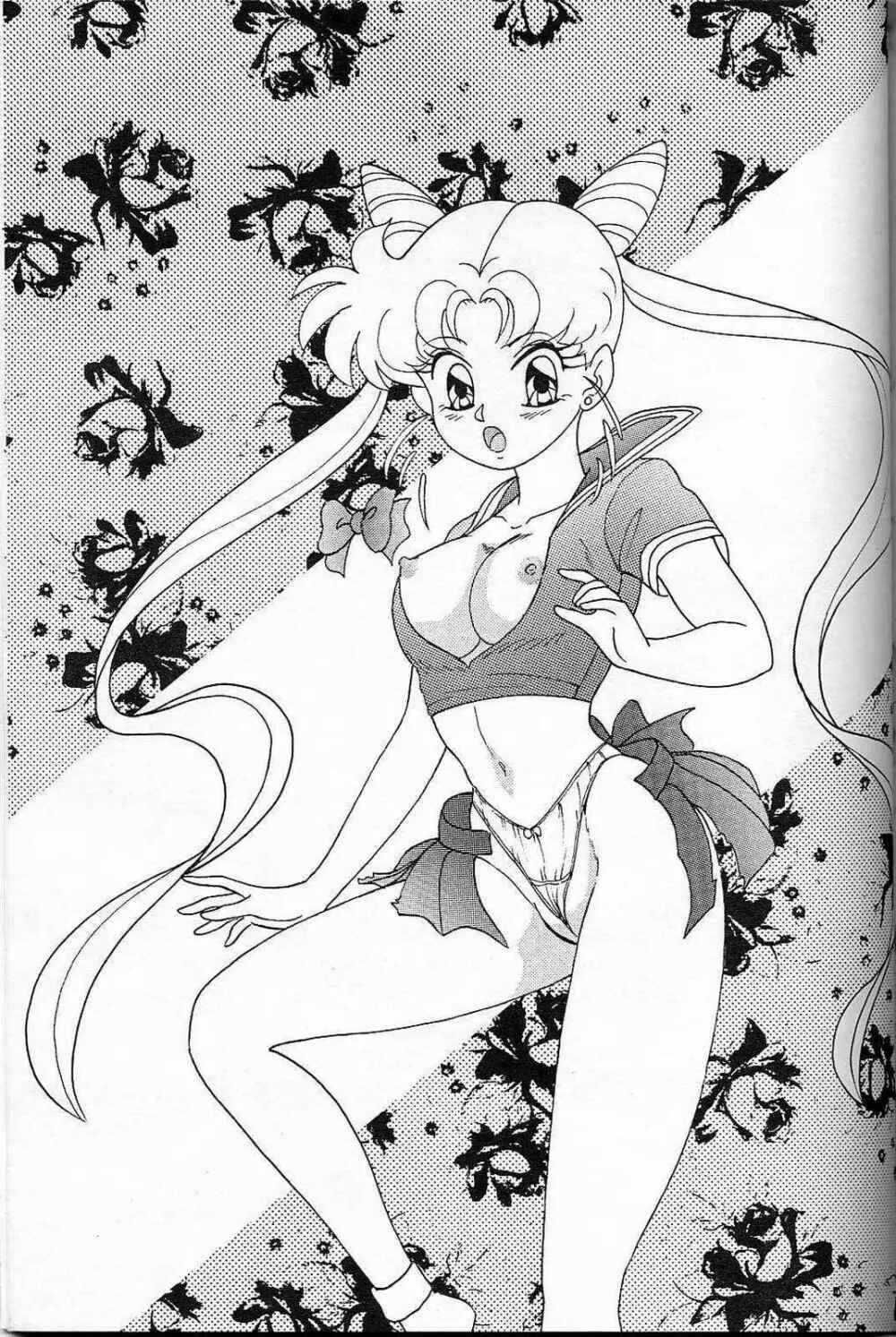 LUNCH BOX 6 USAGI Page.50