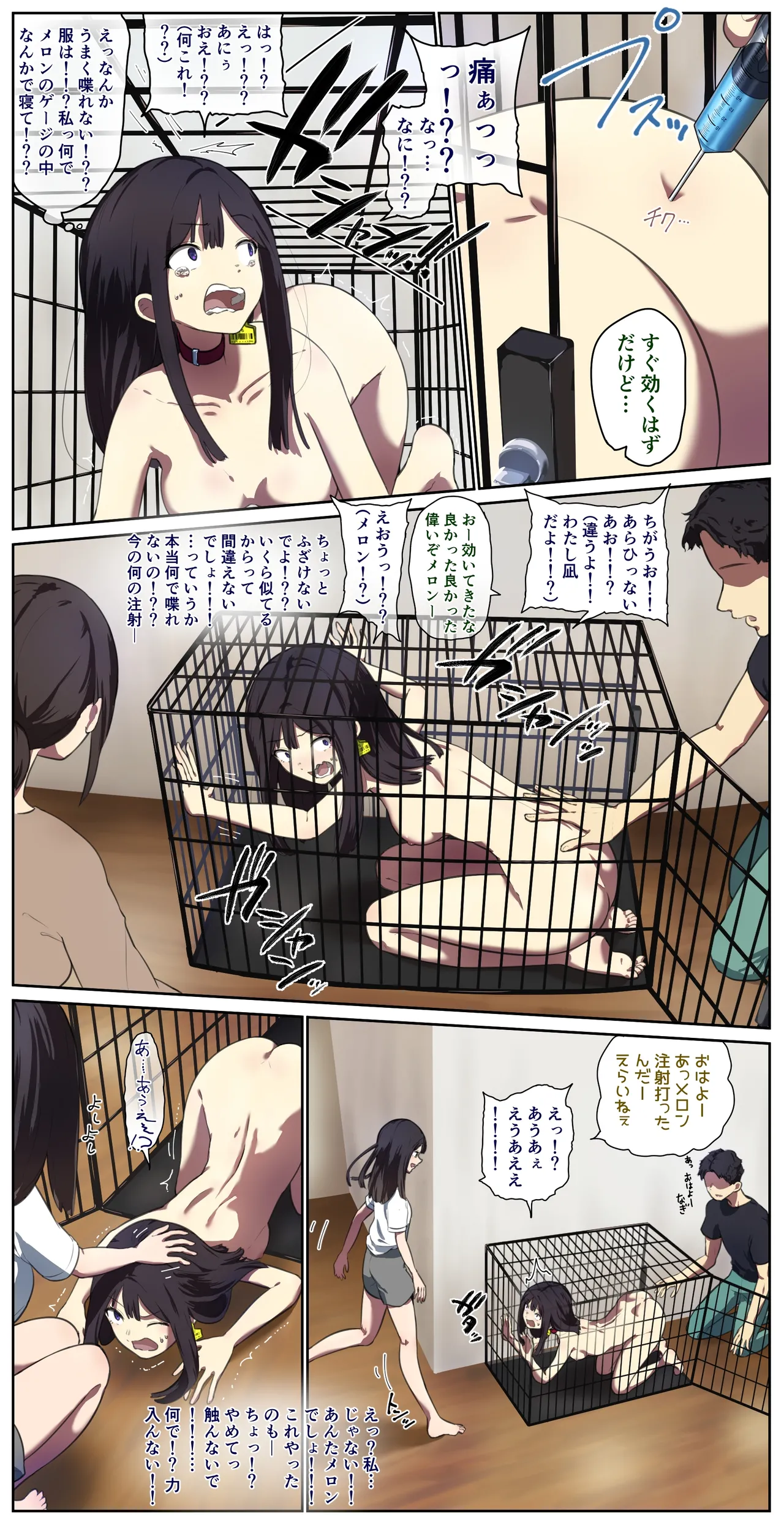 ペット人畜のいる家 Page.5