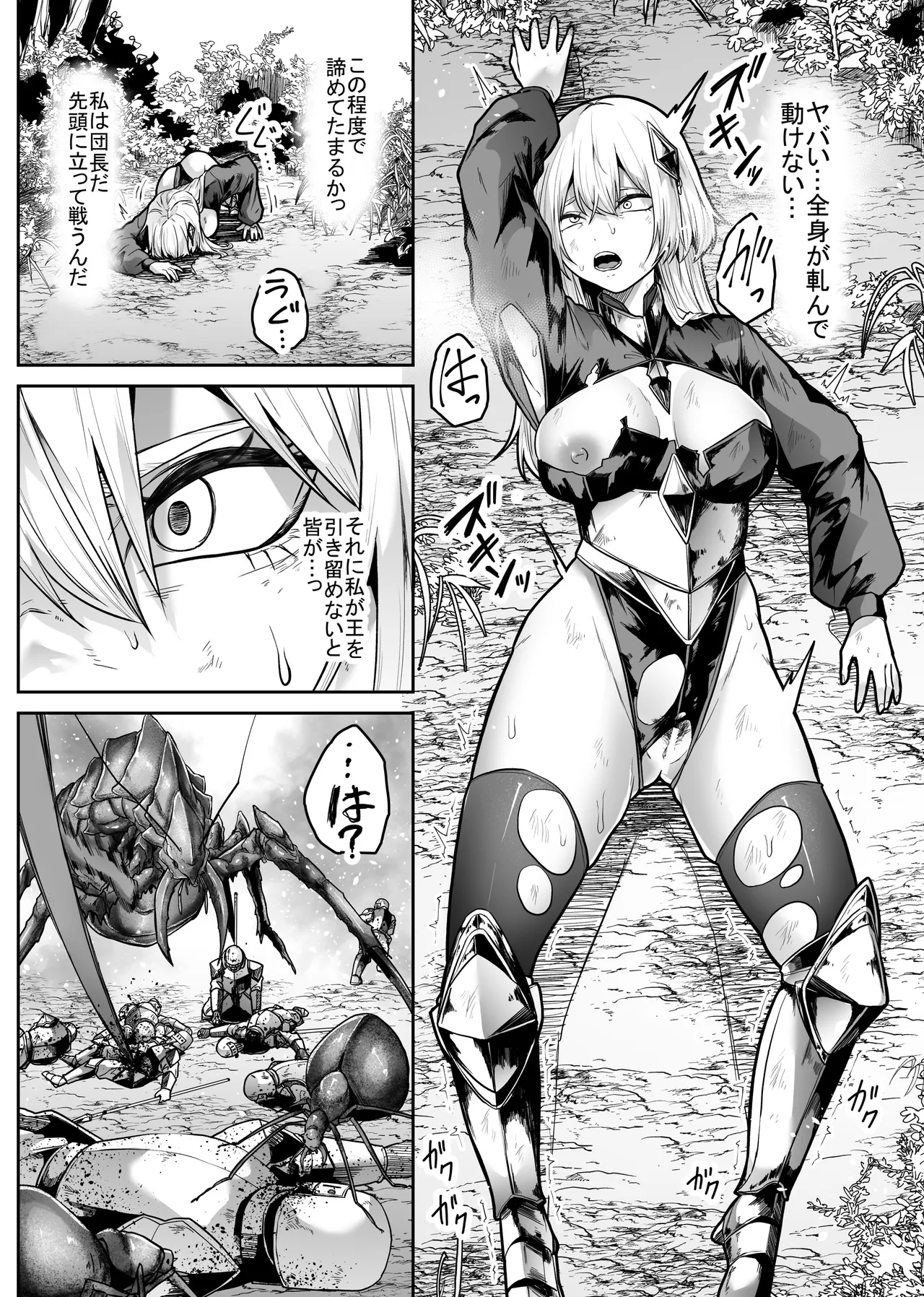 胎内浸蝕 Page.13