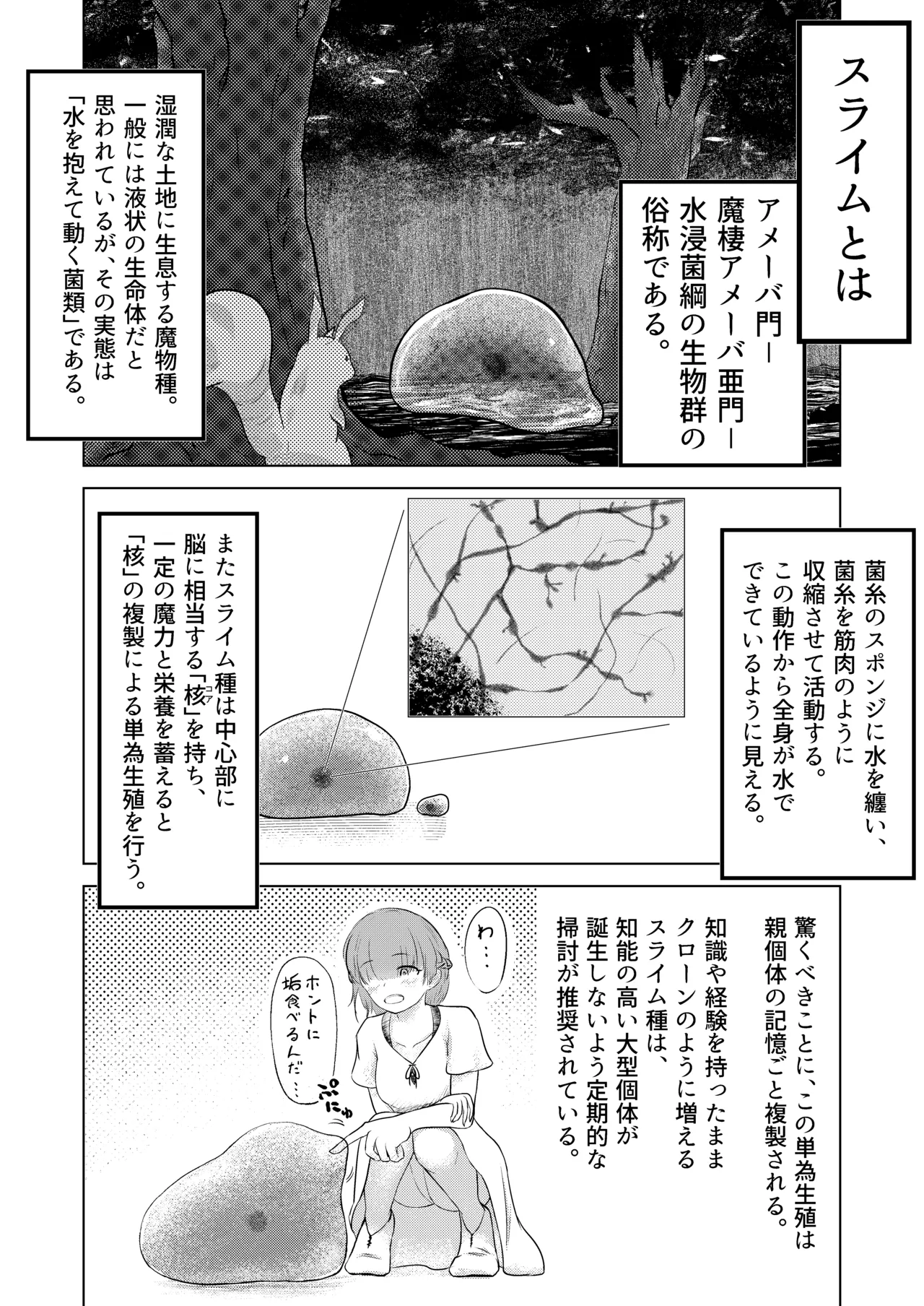 淫魔生態録 スライム娘編 Page.2