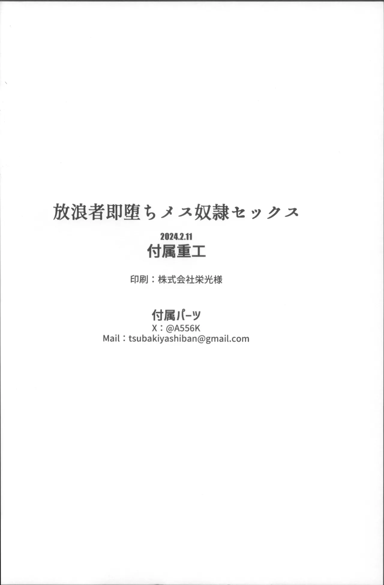 放浪者即堕ちメス奴隷セックス Page.30