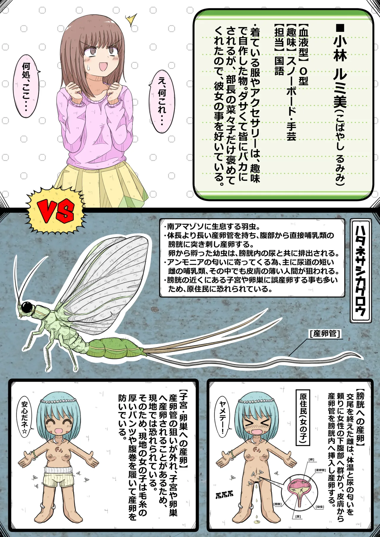 卵巣快楽研究部～顧問の卵巣を掌握せよ！の巻き～ Page.6