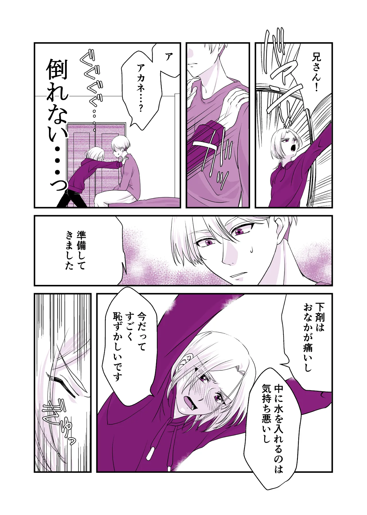 嘘つきで臆病で完璧な兄 Page.13