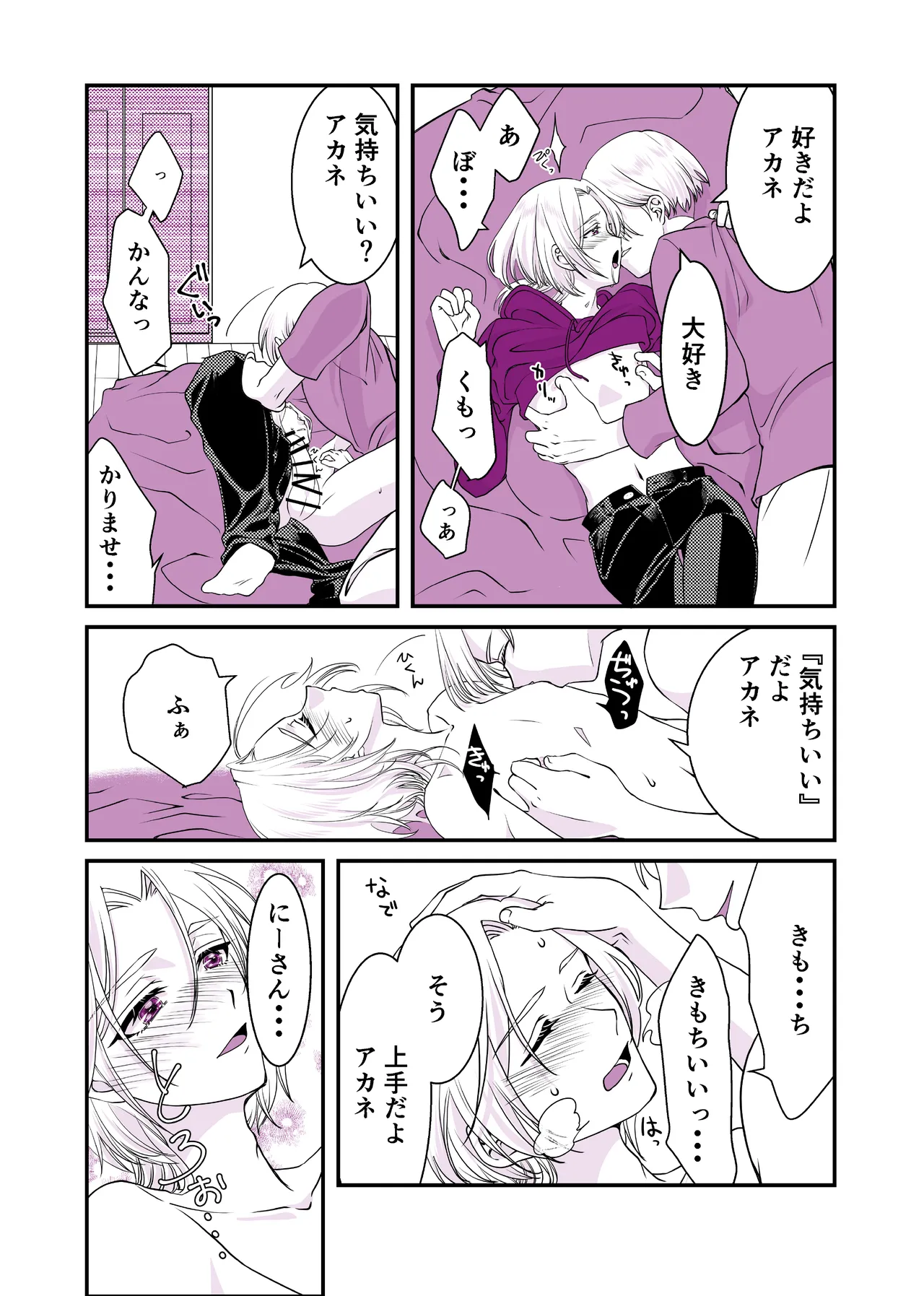 嘘つきで臆病で完璧な兄 Page.16