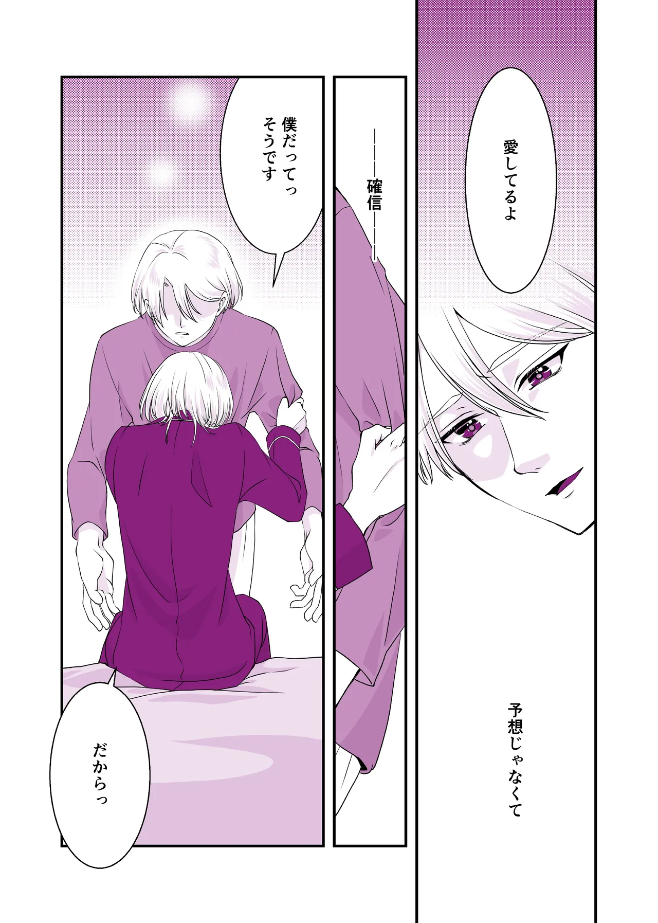 嘘つきで臆病で完璧な兄 Page.3