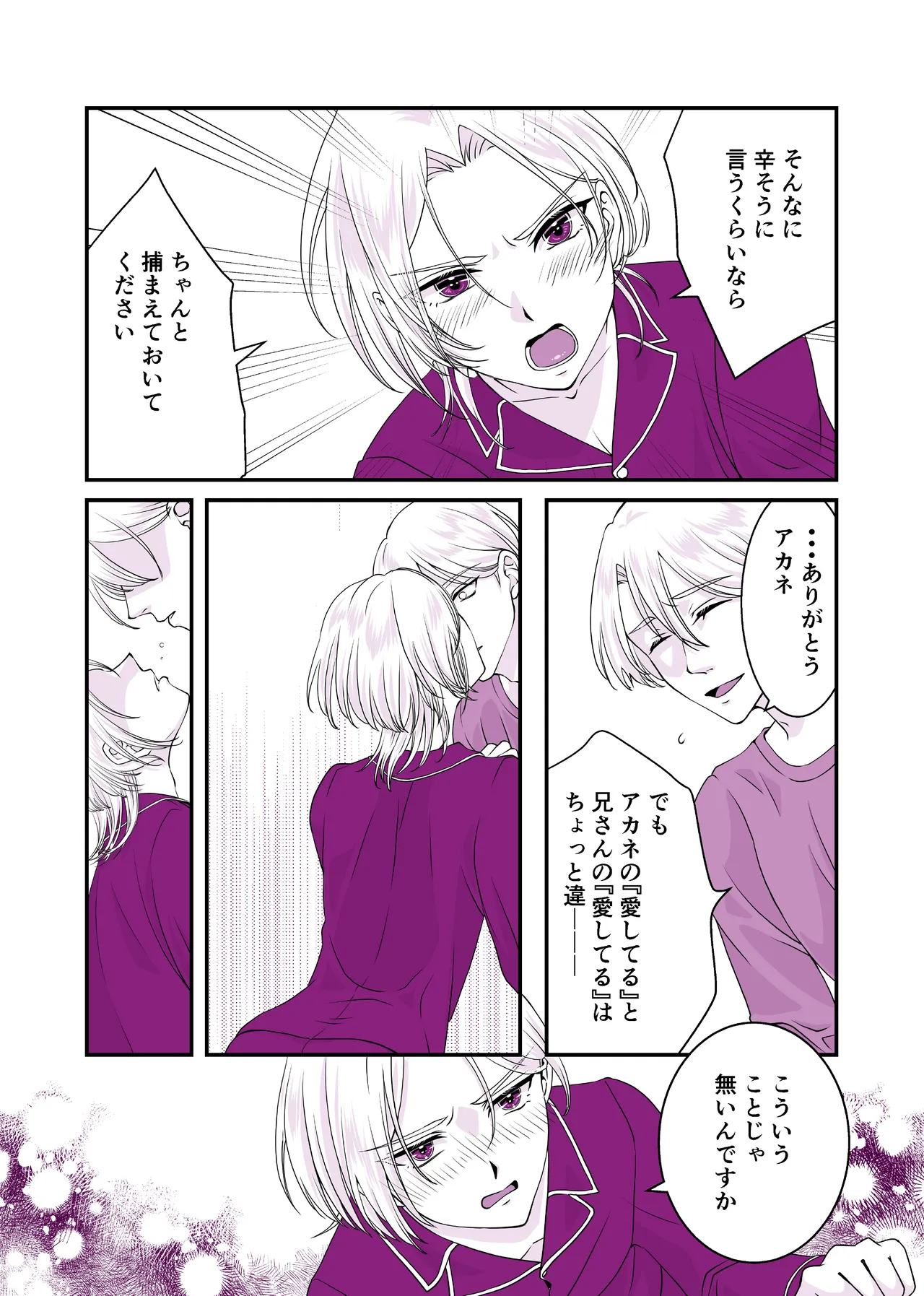 嘘つきで臆病で完璧な兄 Page.4