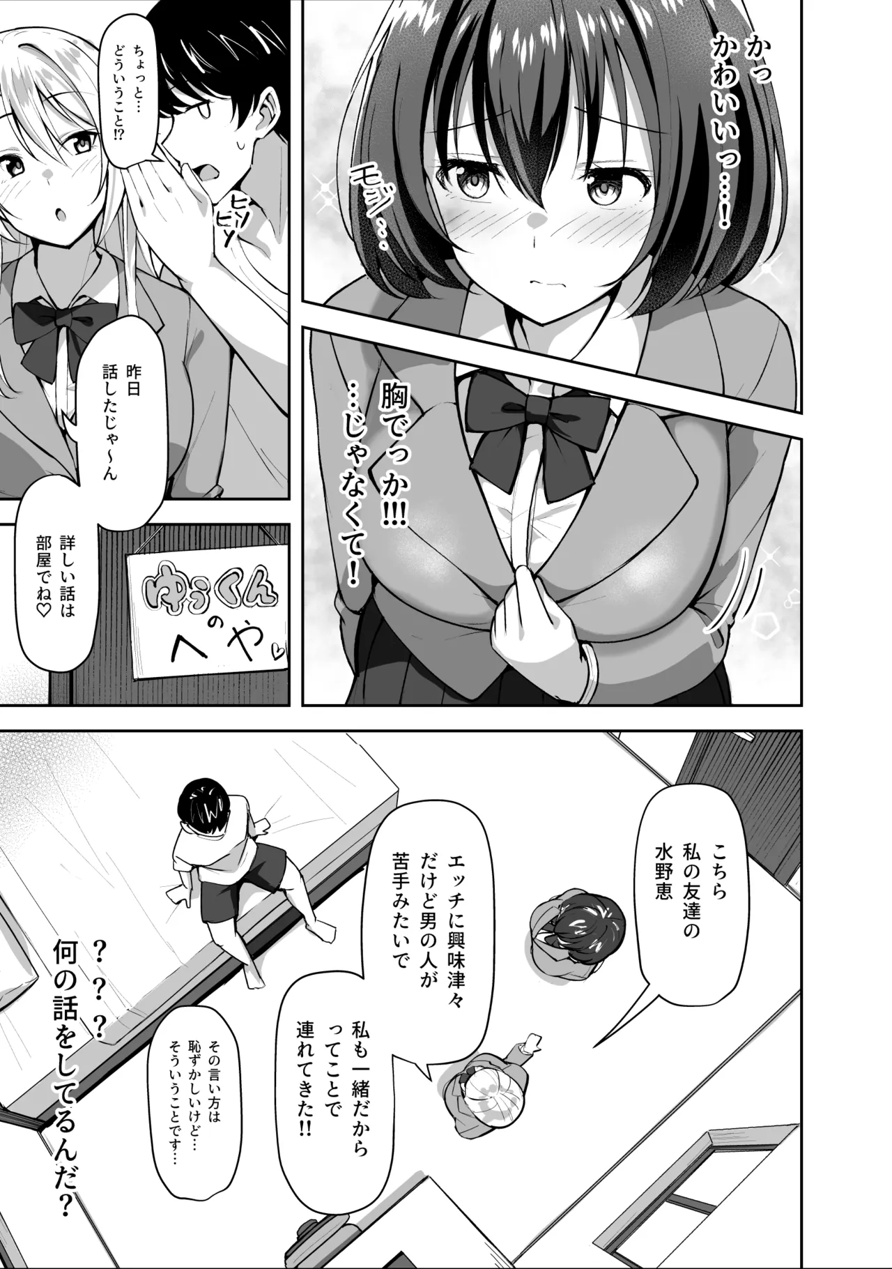 義姉（あね）が俺とHするために女の子を連れてくる Page.13