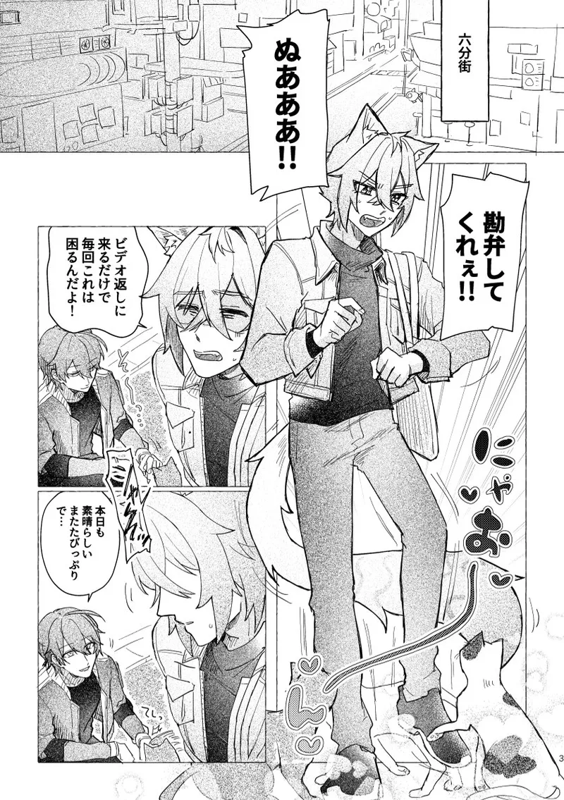 セスの猫部分 お借りします Page.3