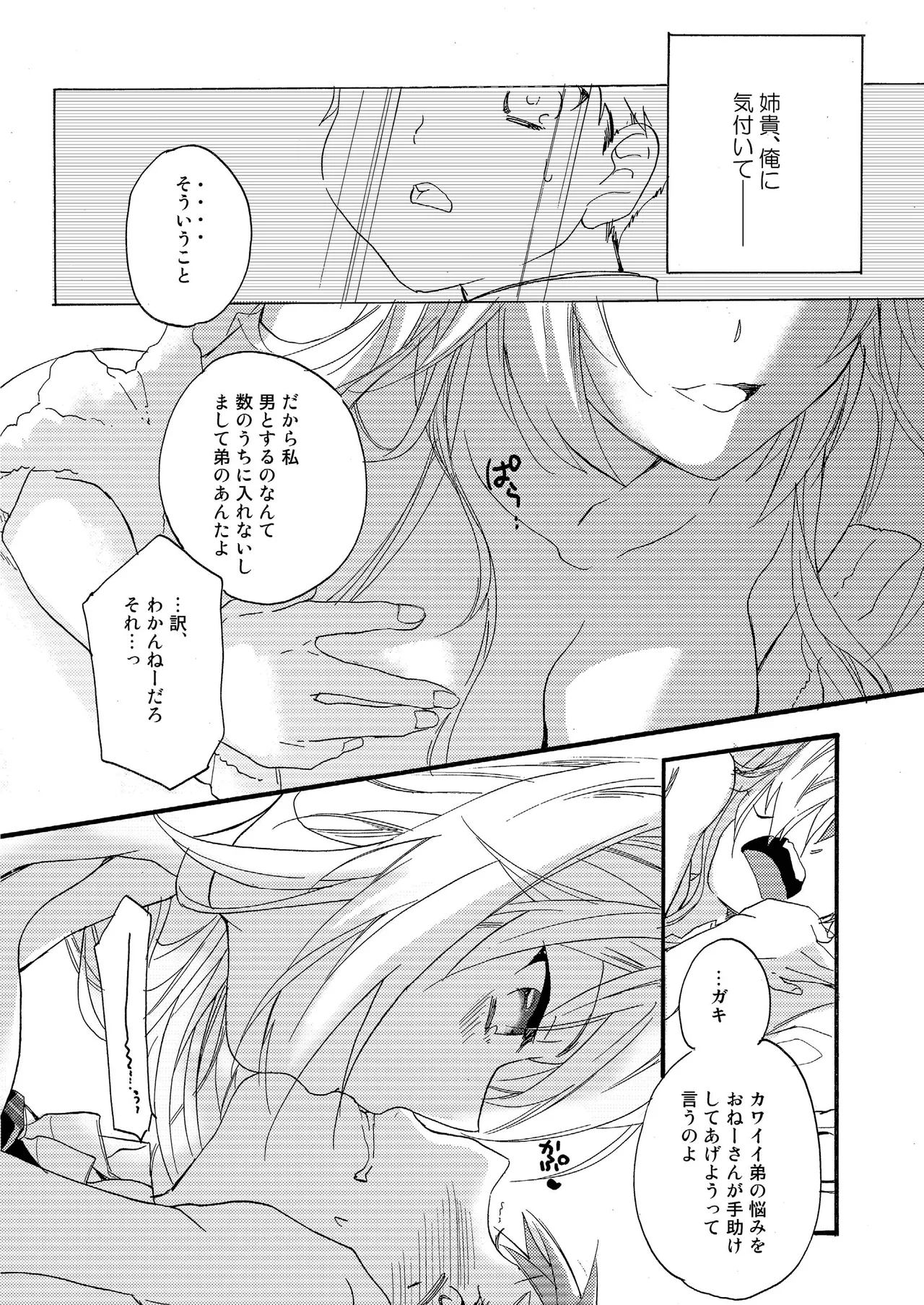 花に嵐 Page.13