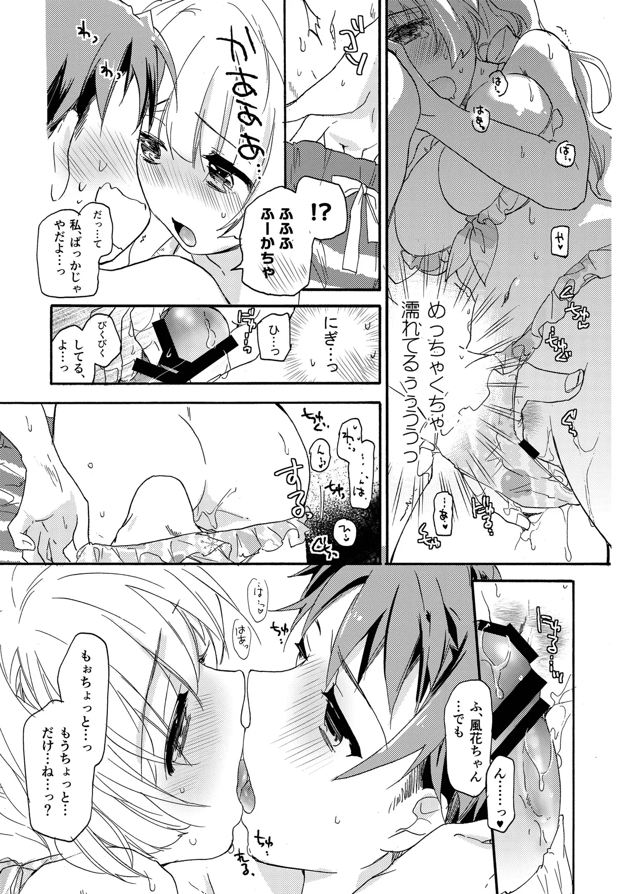 花に嵐２＋折本 Page.13