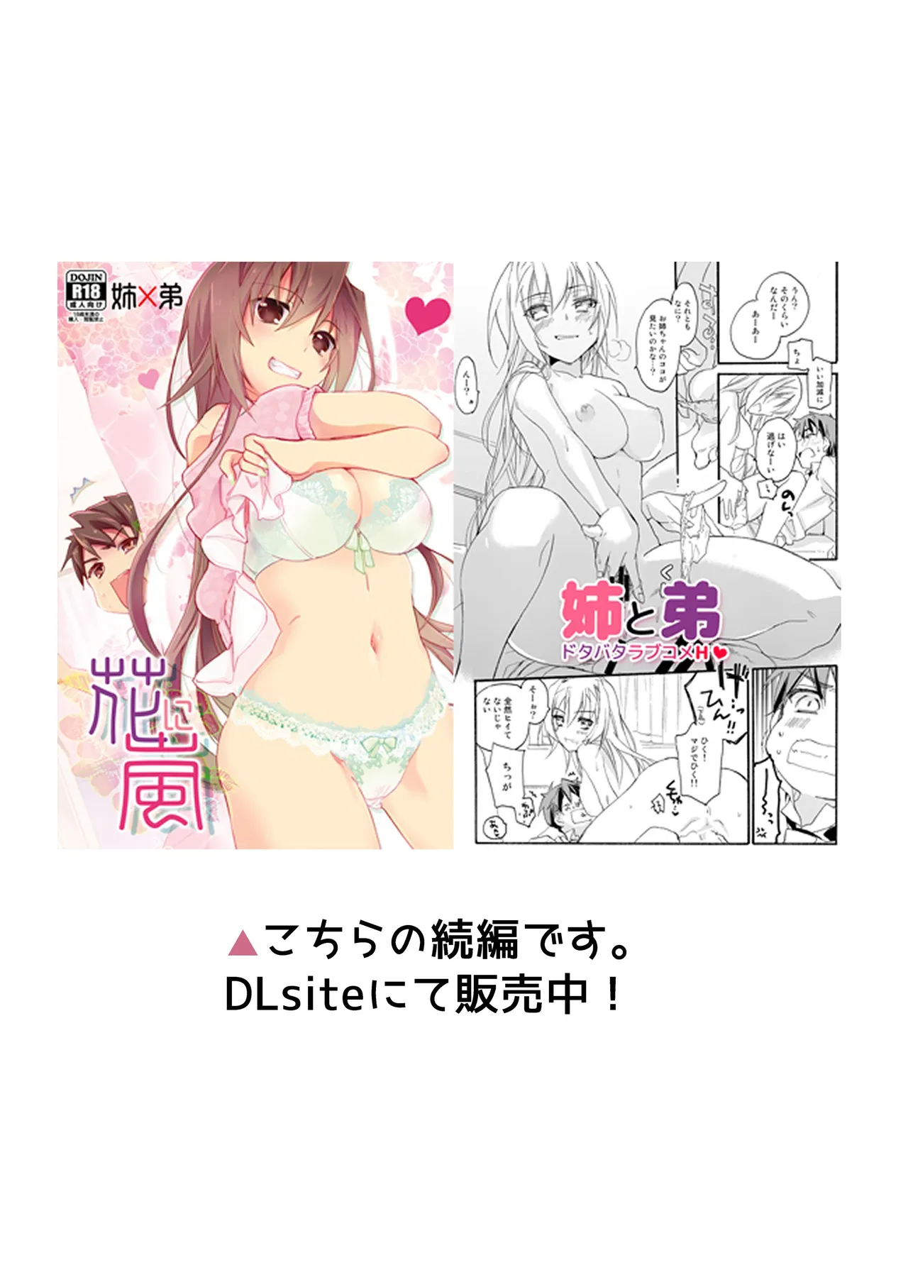 花に嵐２＋折本 Page.2