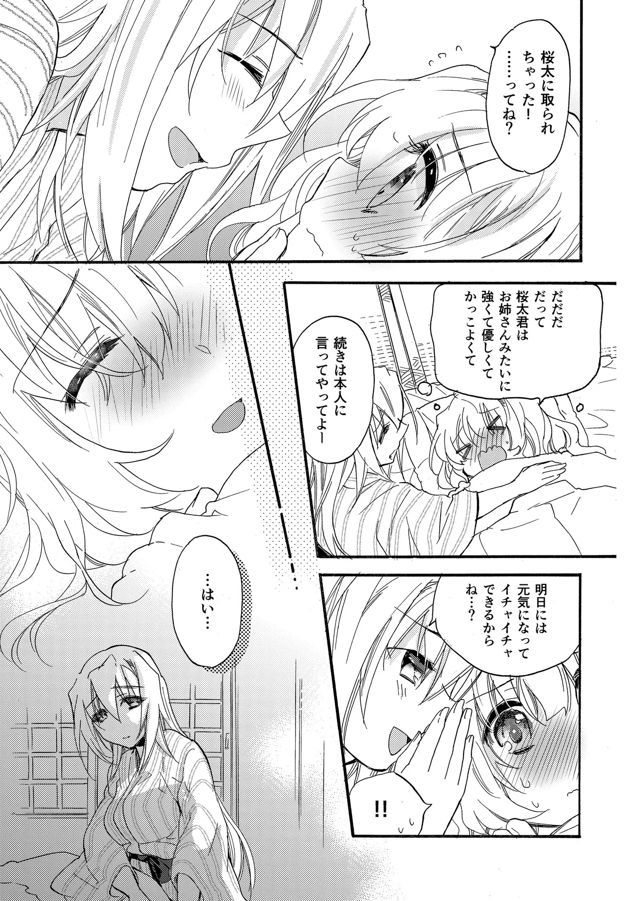 花に嵐２＋折本 Page.27