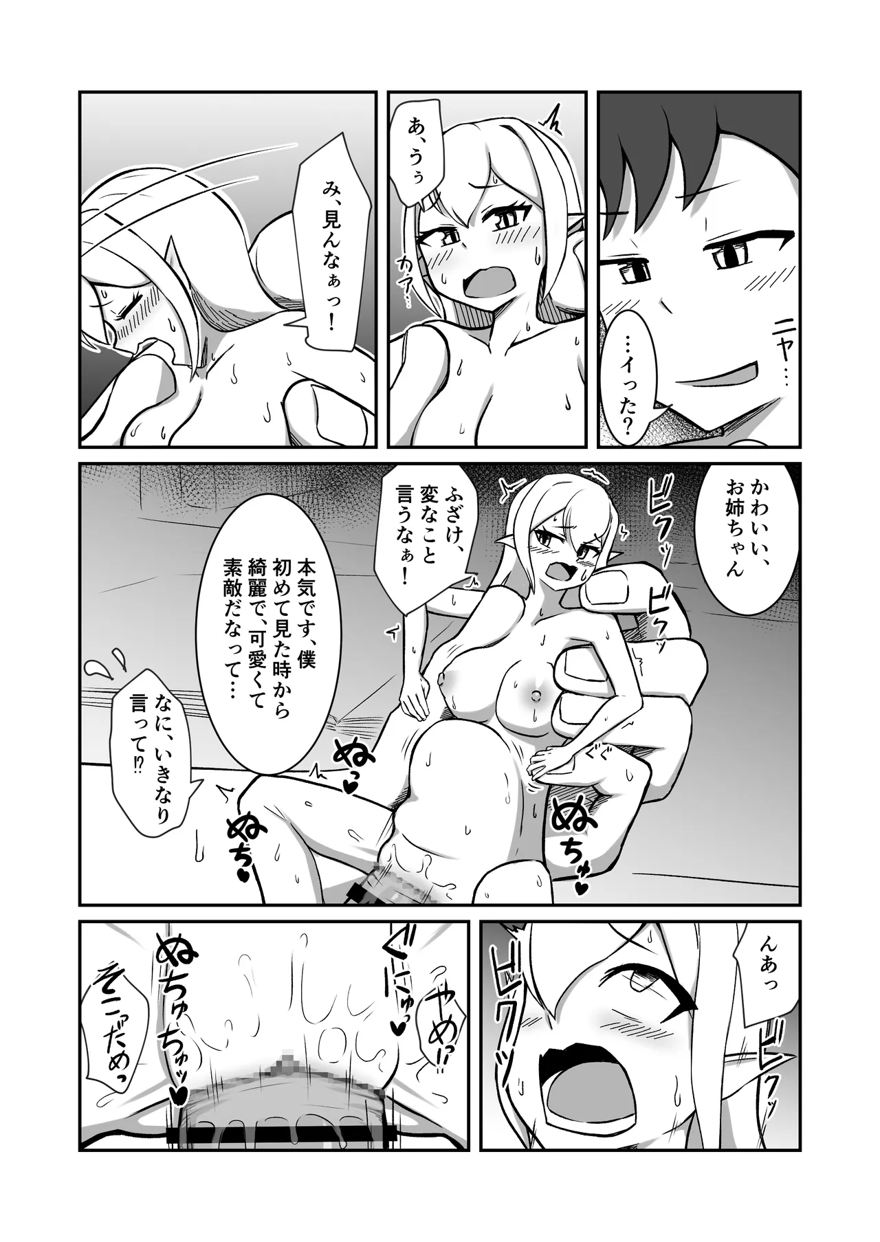 フェアリー族のお姉ちゃんは僕の専用オナホ妖精 Page.25