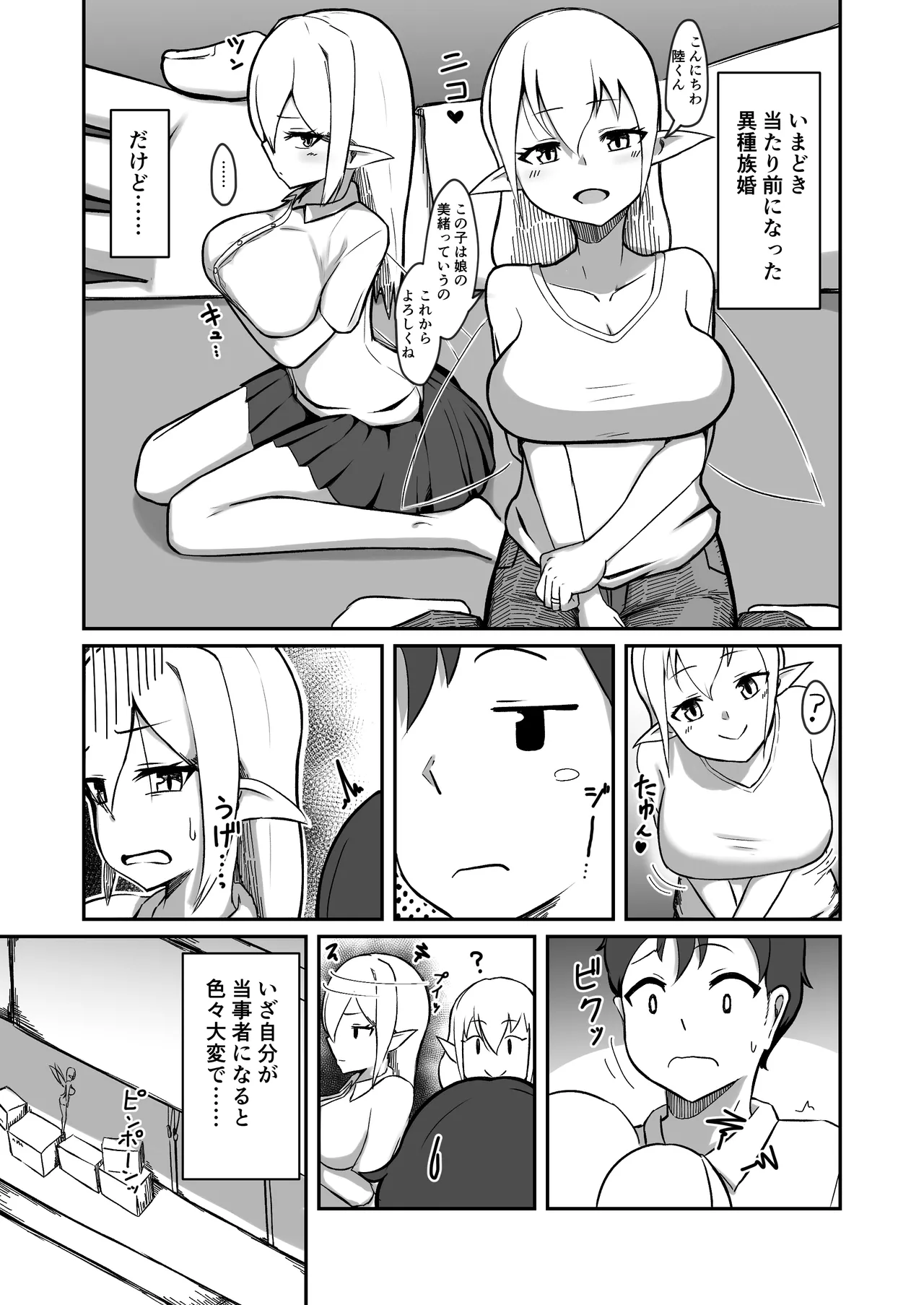 フェアリー族のお姉ちゃんは僕の専用オナホ妖精 Page.3