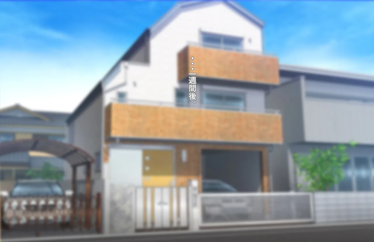 ずっとズリネタにしてきた姉とセフレ契約した話 Page.61