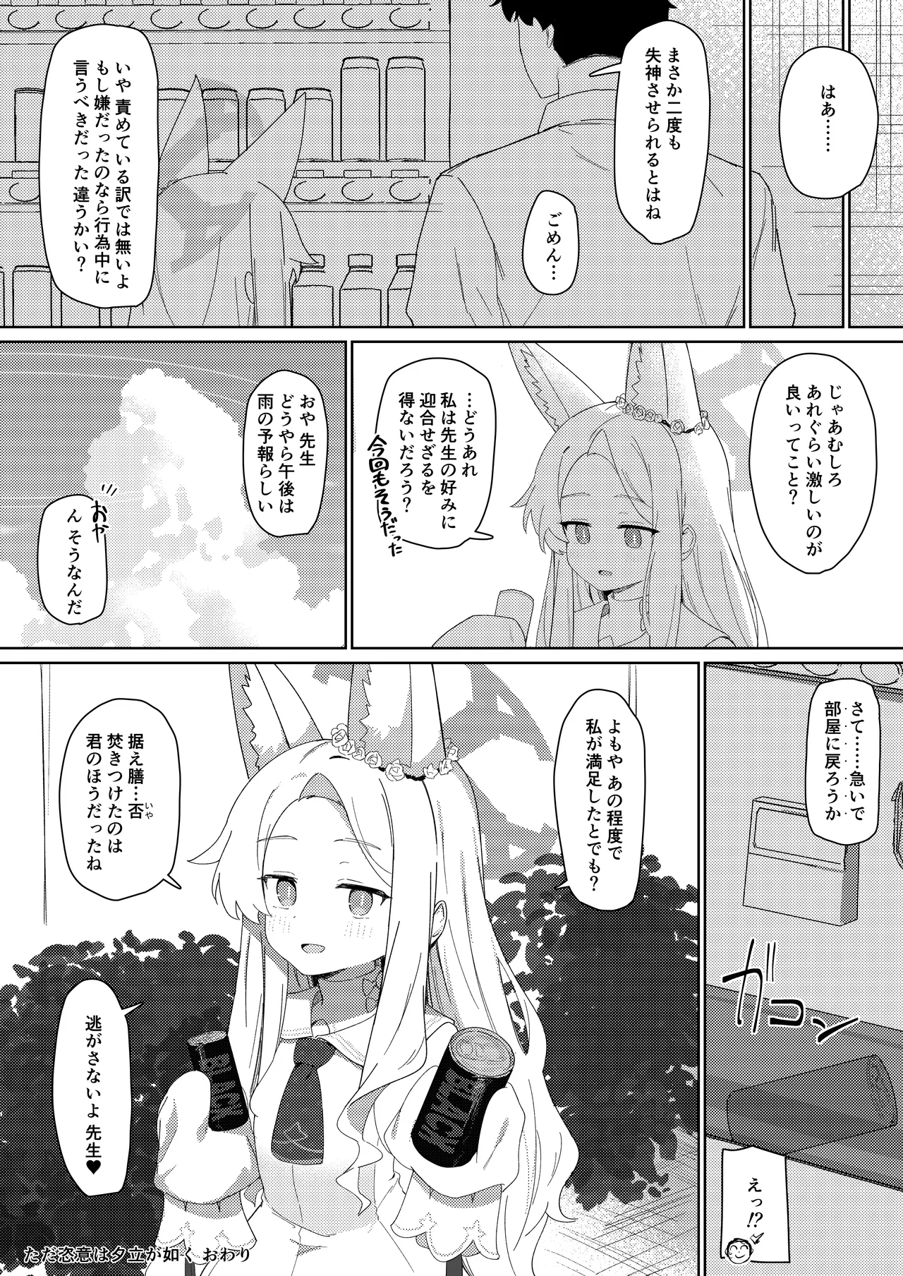 ただ恣意は夕立が如く Page.29