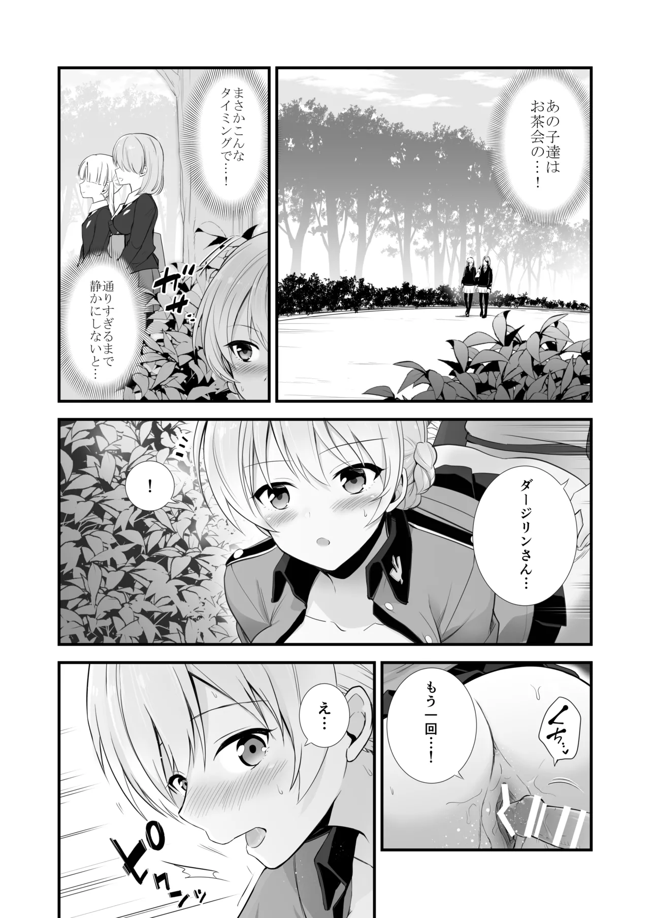 ダージリン ・リコレクション Page.43